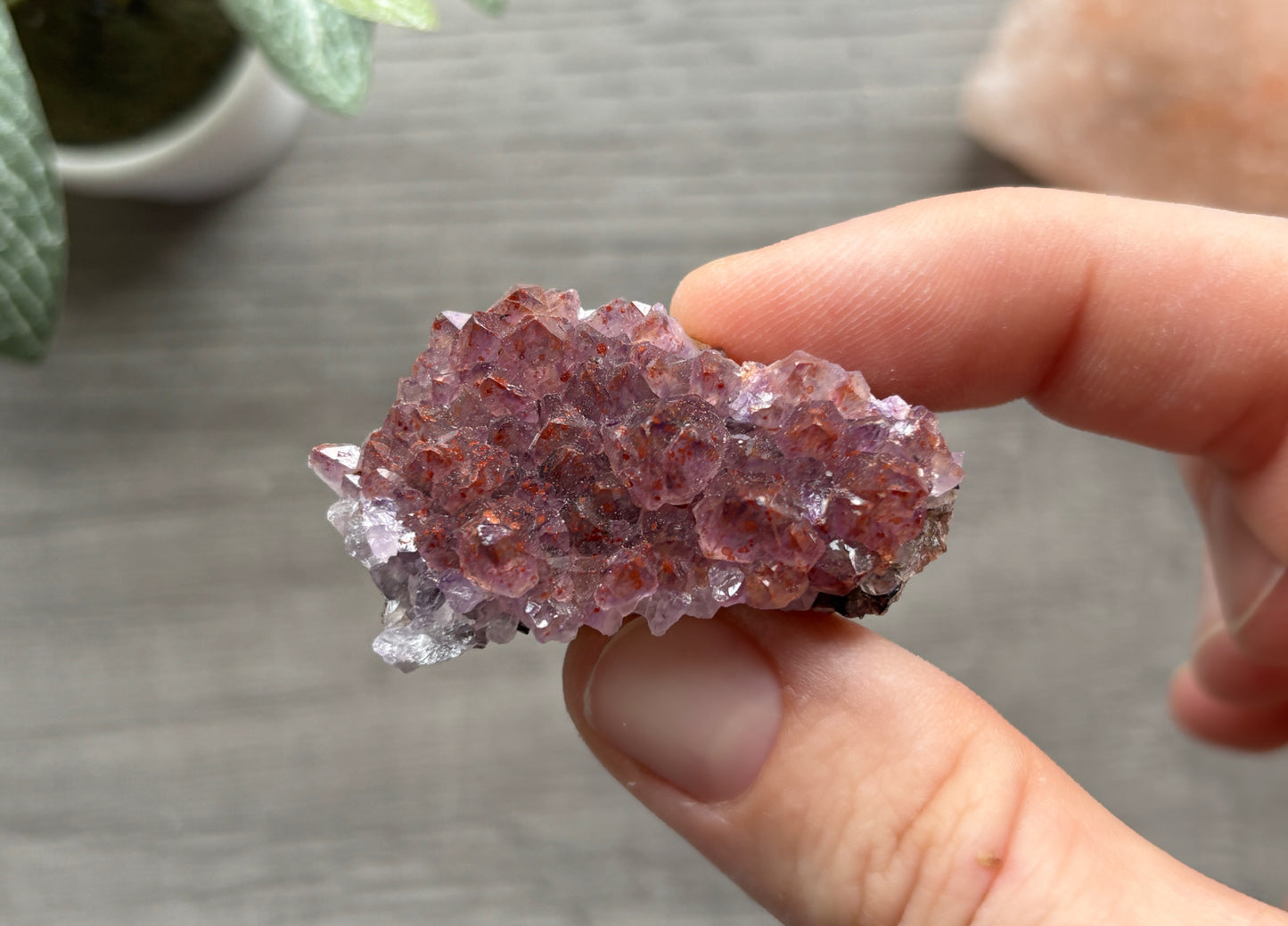 Thunder Bay Red Amethyst Crystal Cluster (J) - The Wandering Fox Emporium, Your Crystal Store