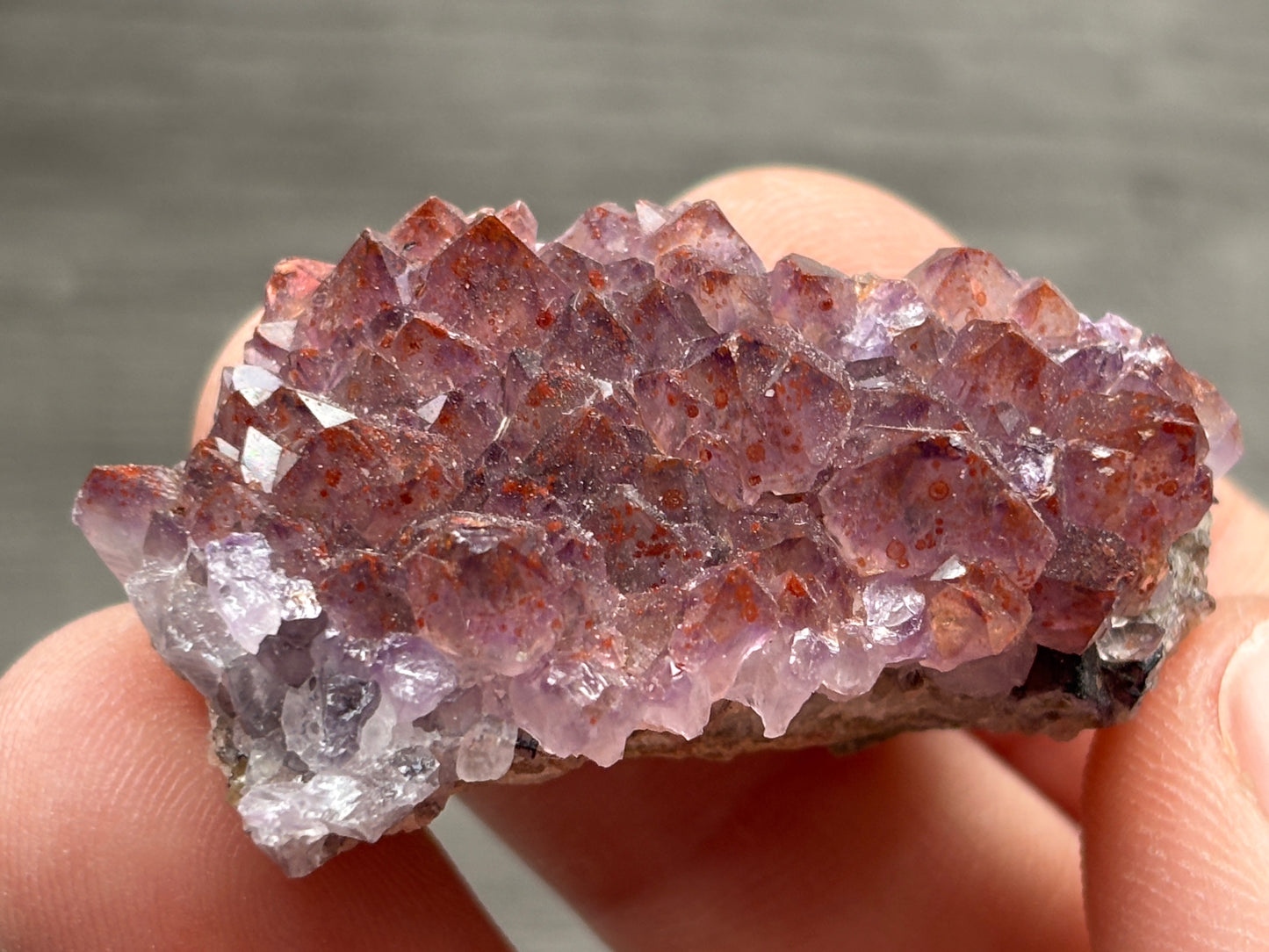 Thunder Bay Red Amethyst Crystal Cluster (J) - The Wandering Fox Emporium, Your Crystal Store