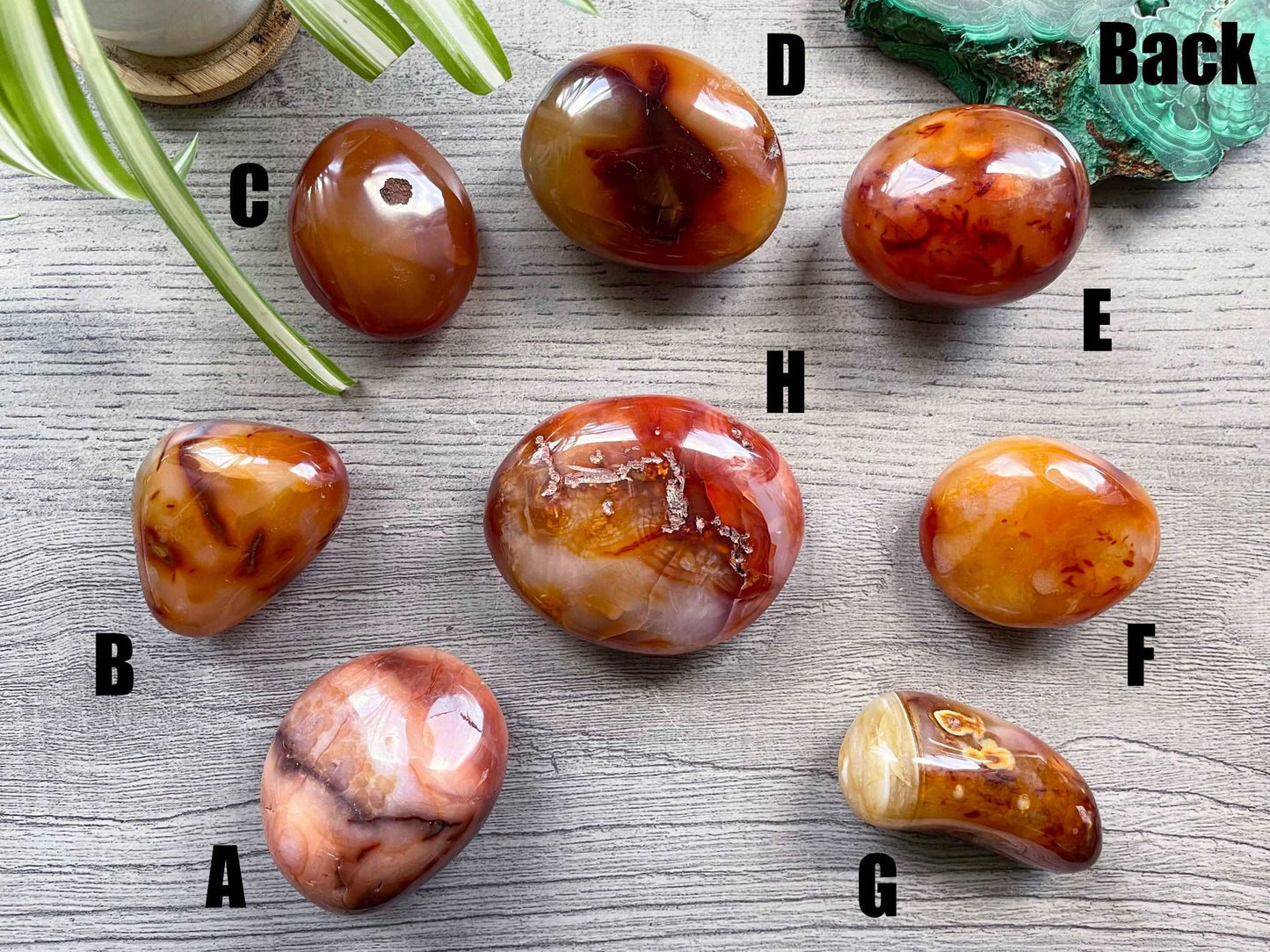 Carnelian Palm Stone back