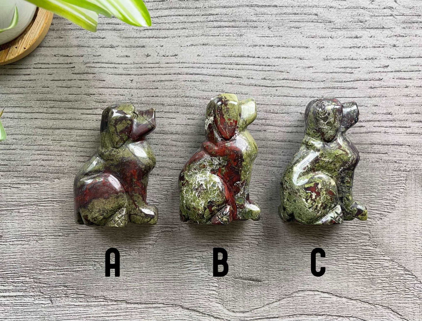 Dragon Bloodstone Dog Crystal Carving selection