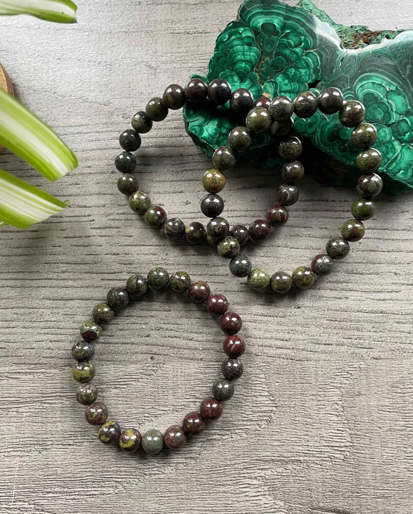 Dragon Bloodstone Bracelet 8.5mm - The Wandering Fox Emporium, Your Crystal Store selection
