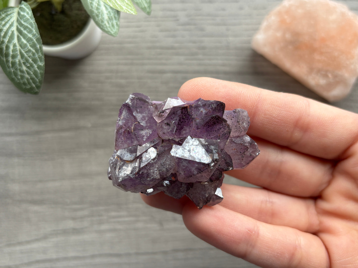 Thunder Bay Amethyst Crystal Cluster (H) - The Wandering Fox Emporium, Your Crystal Store