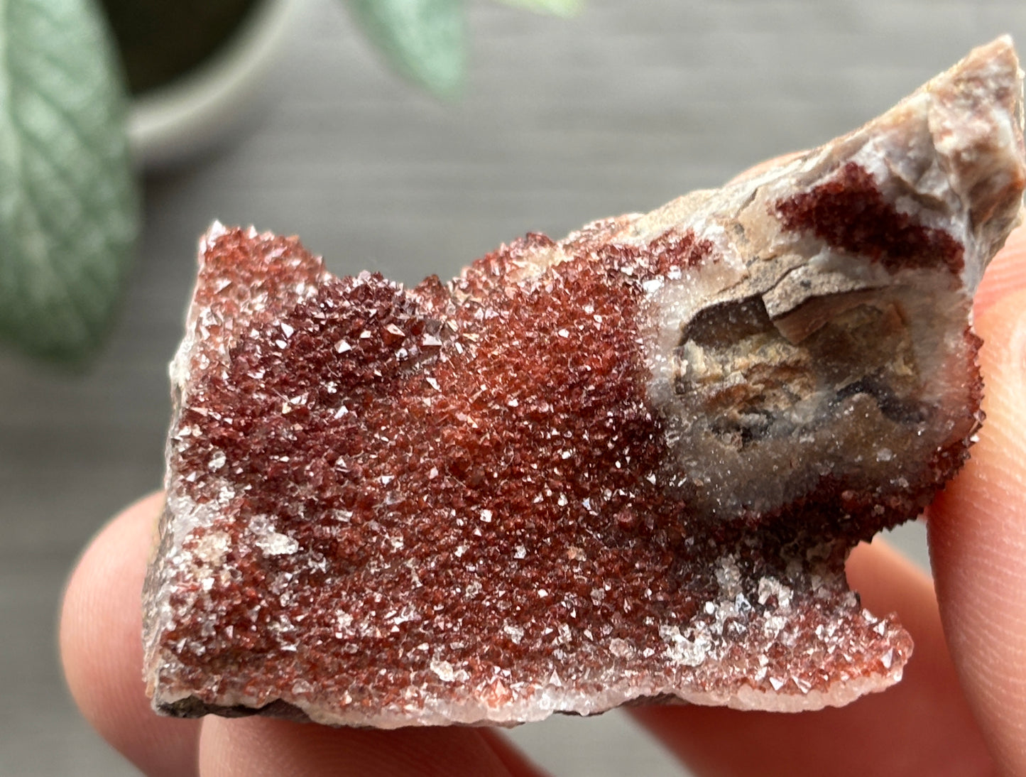 Thunder Bay Red Amethyst Crystal Cluster (L) - The Wandering Fox Emporium, Your Crystal Store
