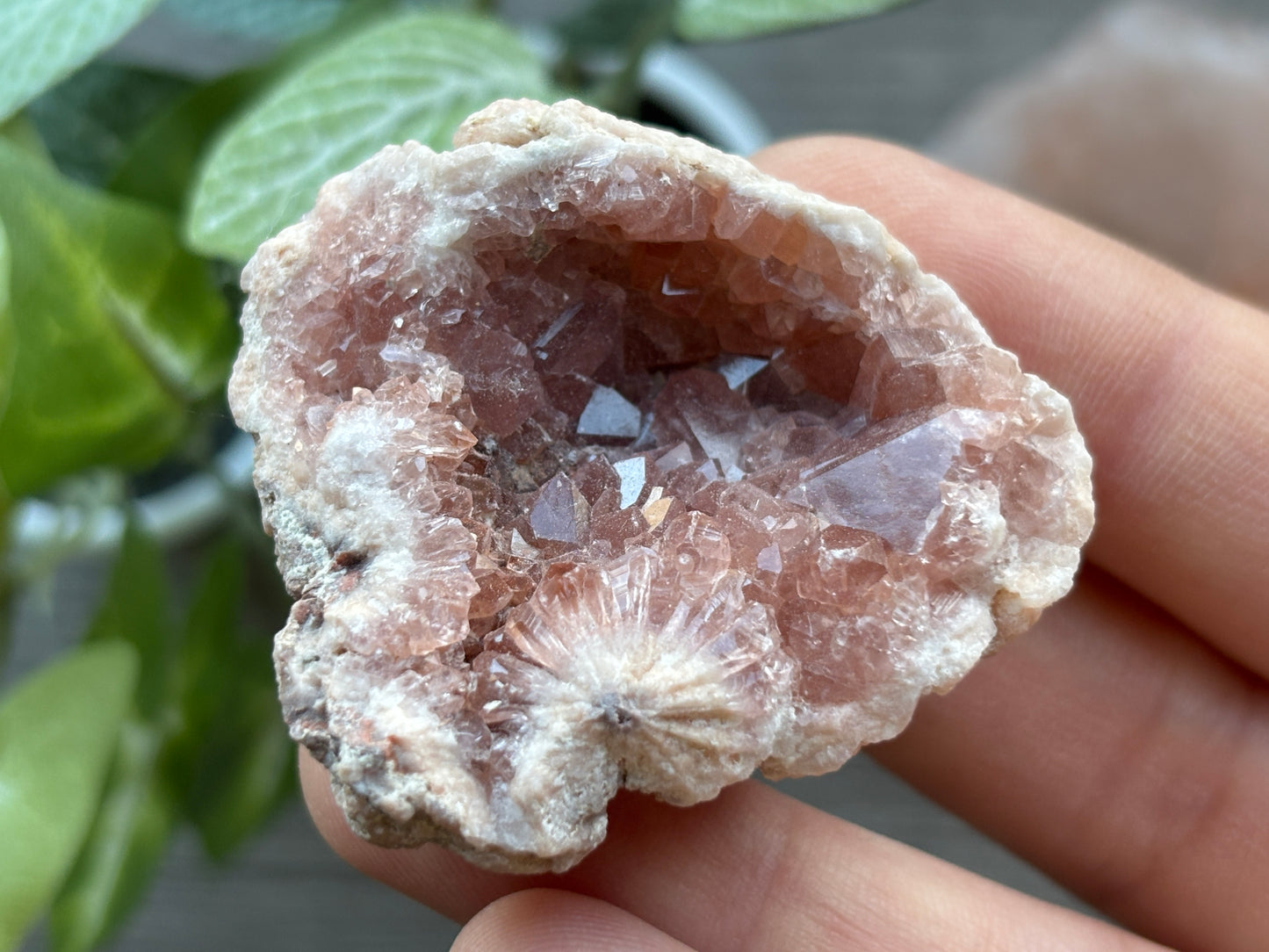 Pink Amethyst Geode Crystal Cluster (H)