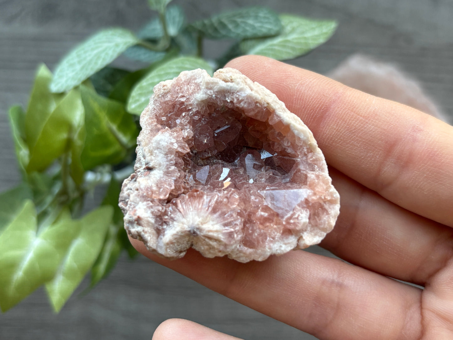Pink Amethyst Geode Crystal Cluster (H)
