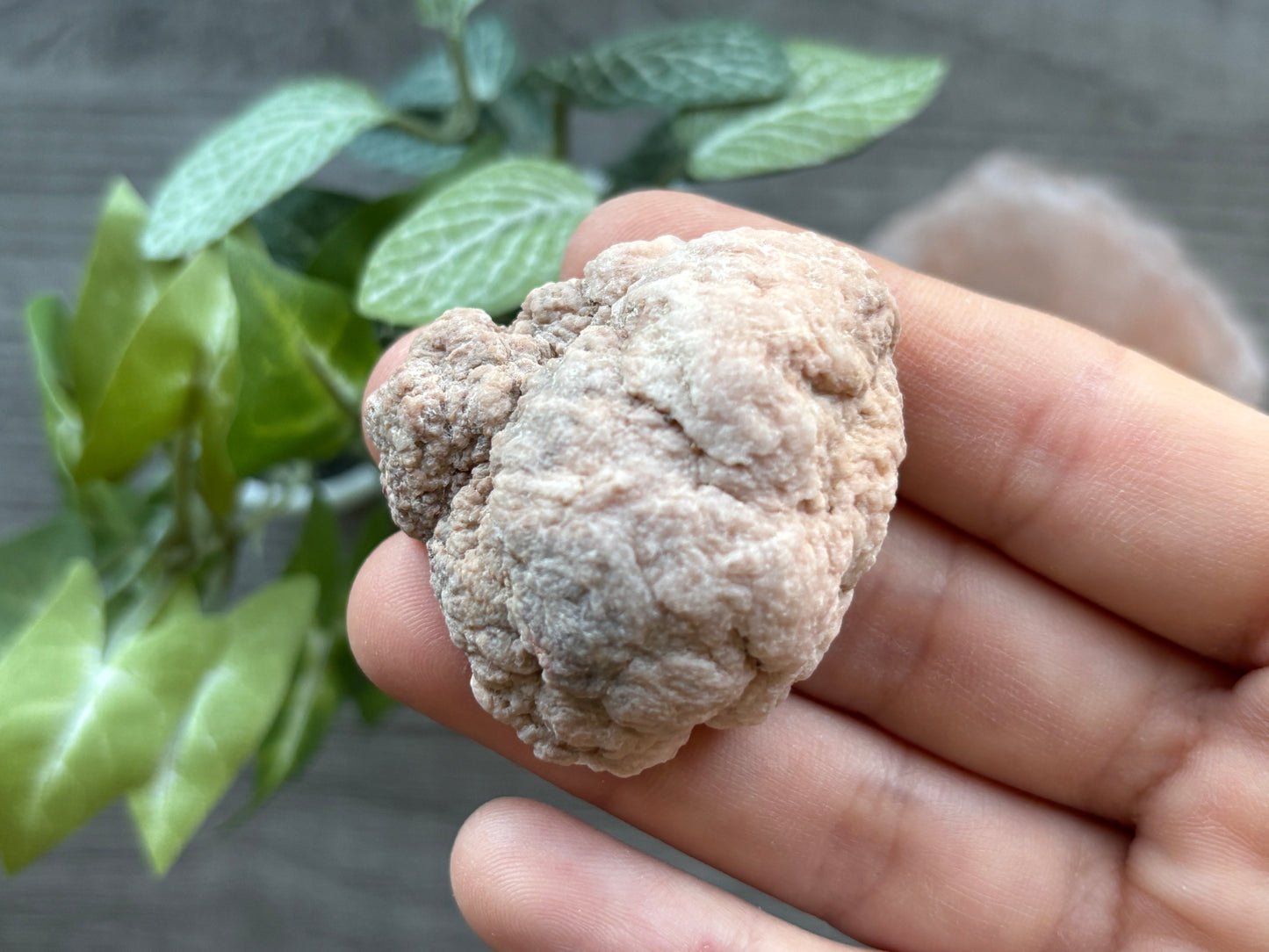 Pink Amethyst Geode Crystal Cluster (H)