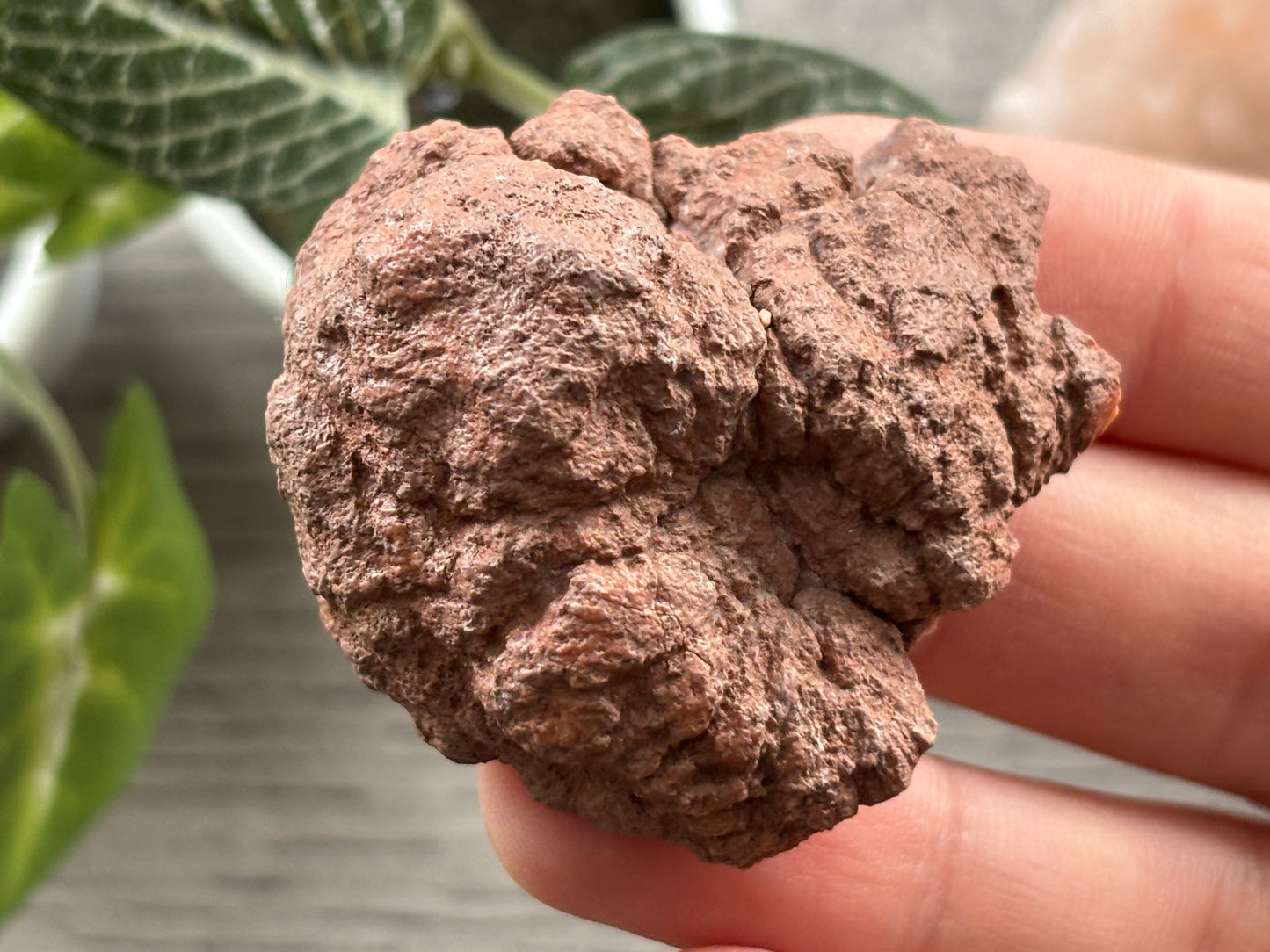 Pink Amethyst Geode Crystal Cluster (J)