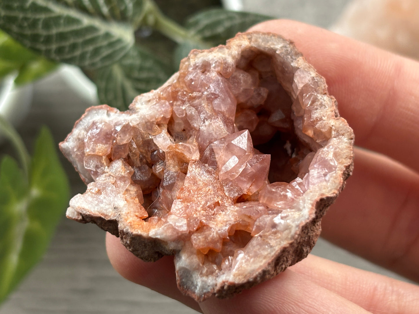 Pink Amethyst Geode Crystal Cluster (J)