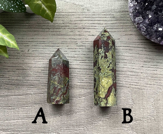 Dragon Bloodstone Crystal Point back
