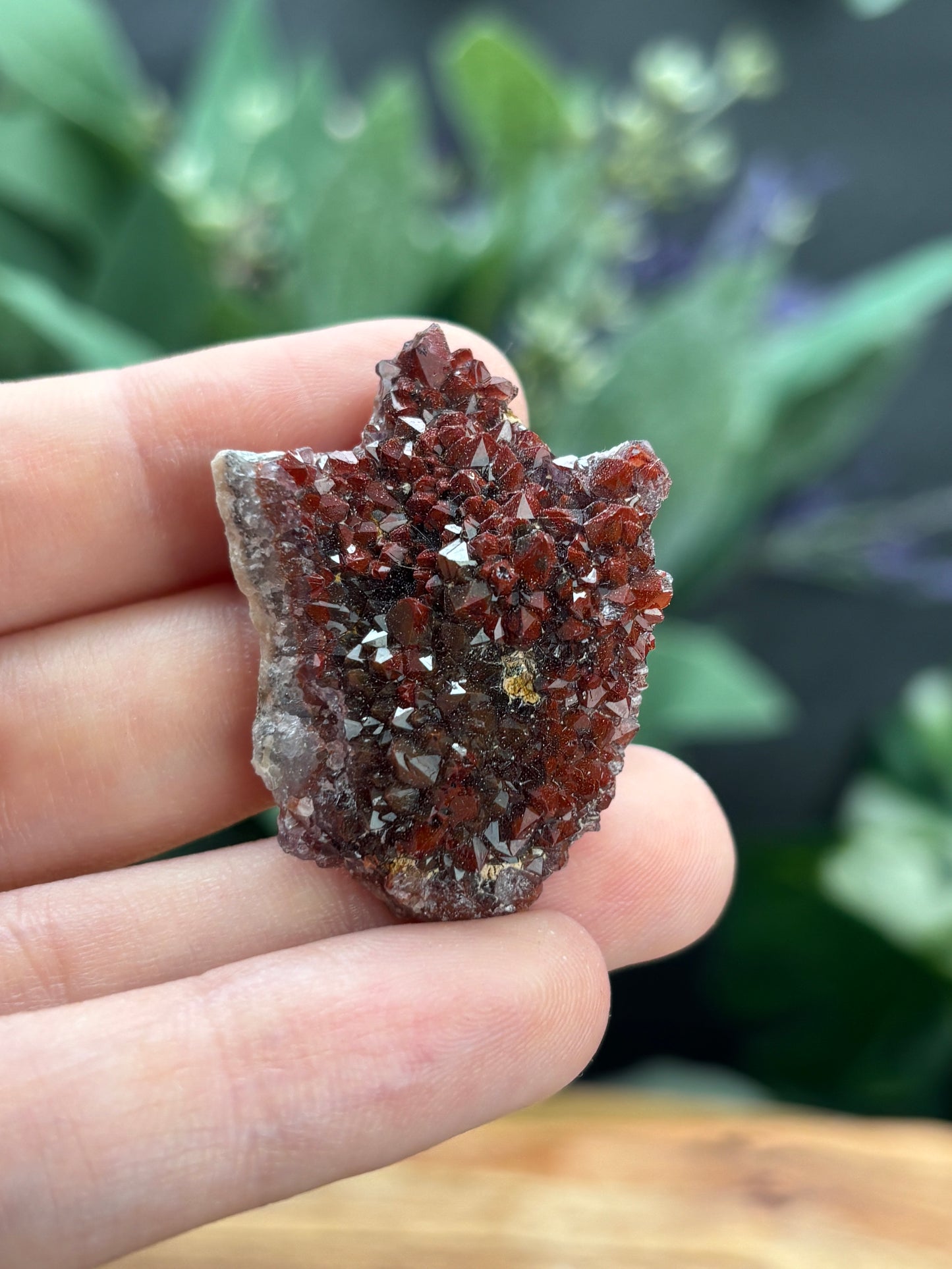 Thunder Bay Red Amethyst Crystal Cluster (C) - The Wandering Fox Emporium, Your Crystal Store