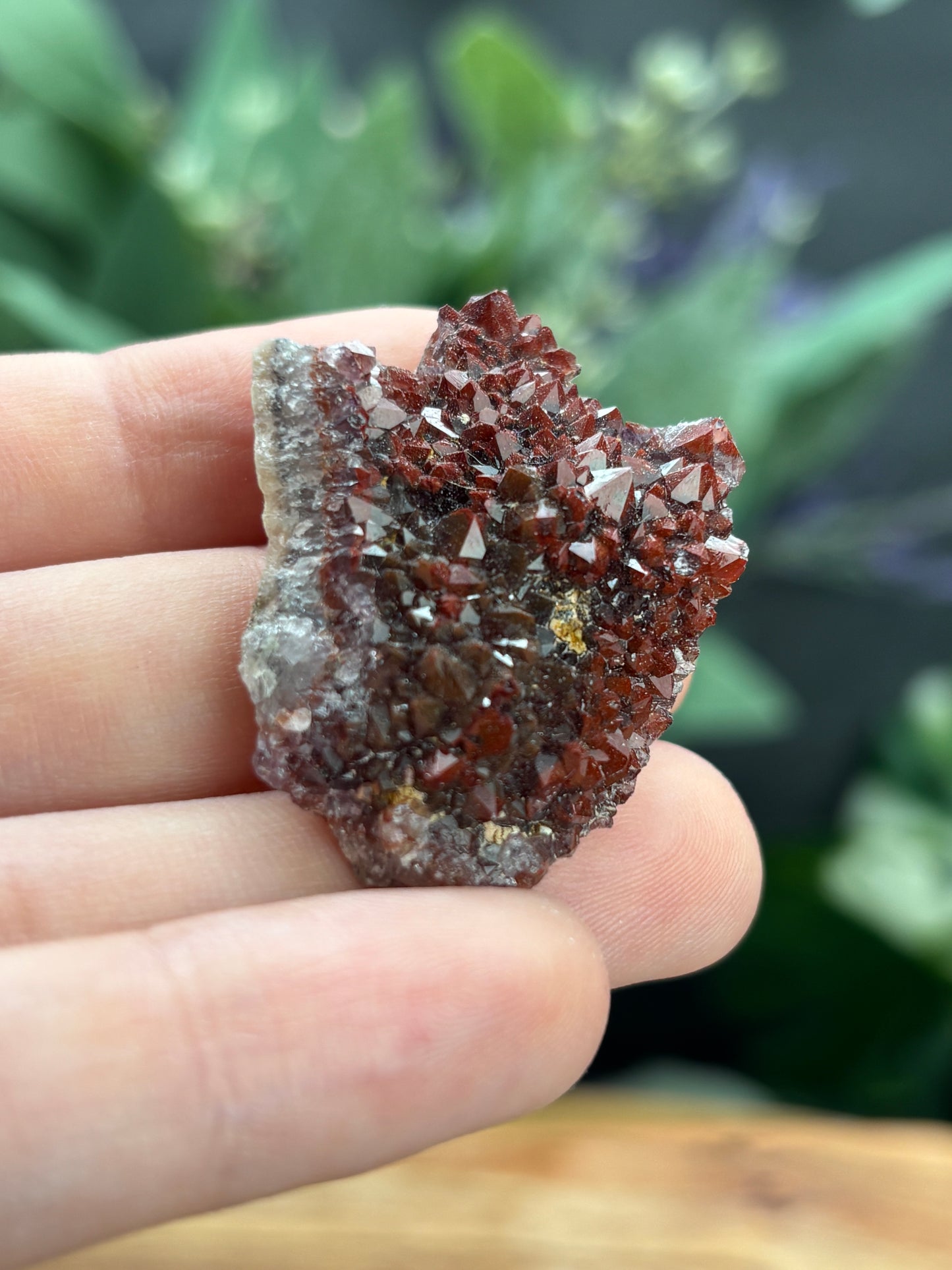 Thunder Bay Red Amethyst Crystal Cluster (C) - The Wandering Fox Emporium, Your Crystal Store