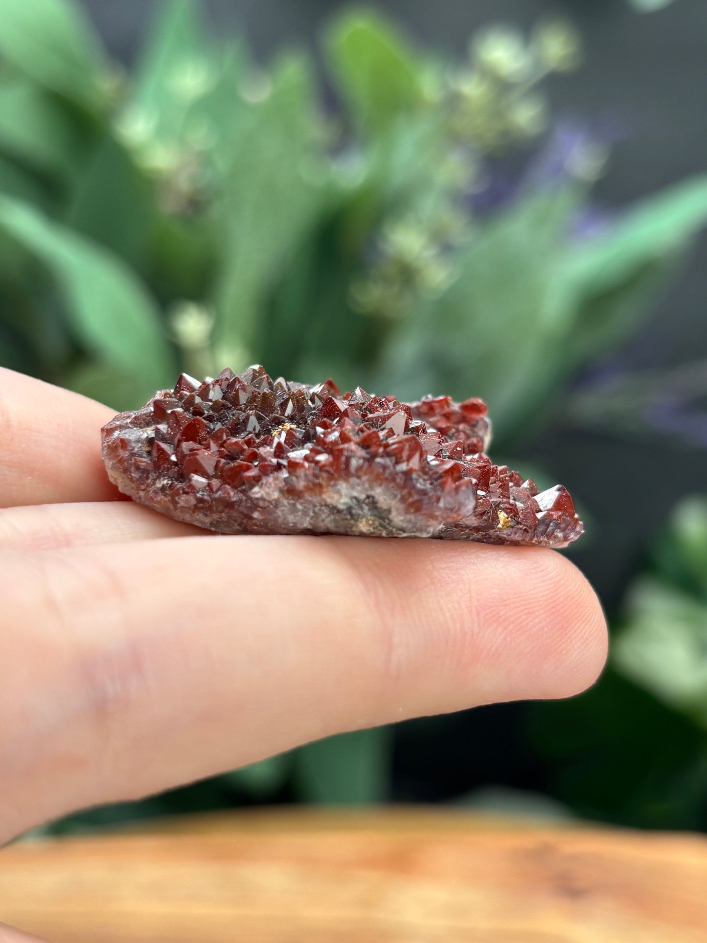 Thunder Bay Red Amethyst Crystal Cluster (C) - The Wandering Fox Emporium, Your Crystal Store