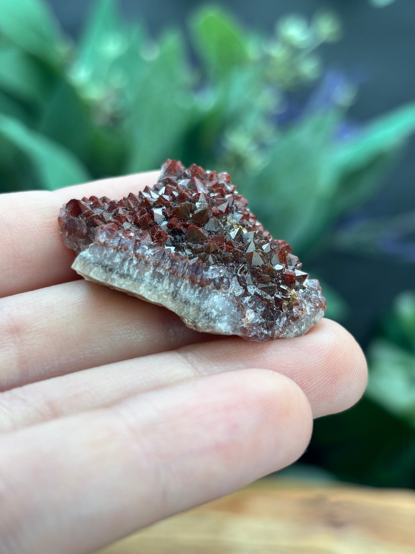 Thunder Bay Red Amethyst Crystal Cluster (C) - The Wandering Fox Emporium, Your Crystal Store