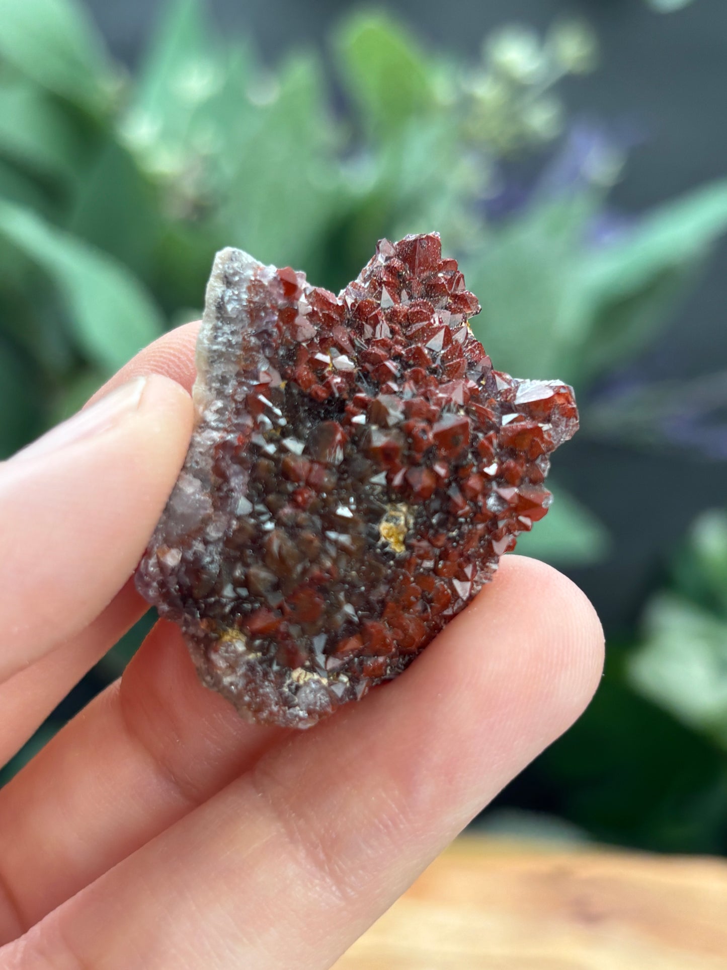 Thunder Bay Red Amethyst Crystal Cluster (C) - The Wandering Fox Emporium, Your Crystal Store