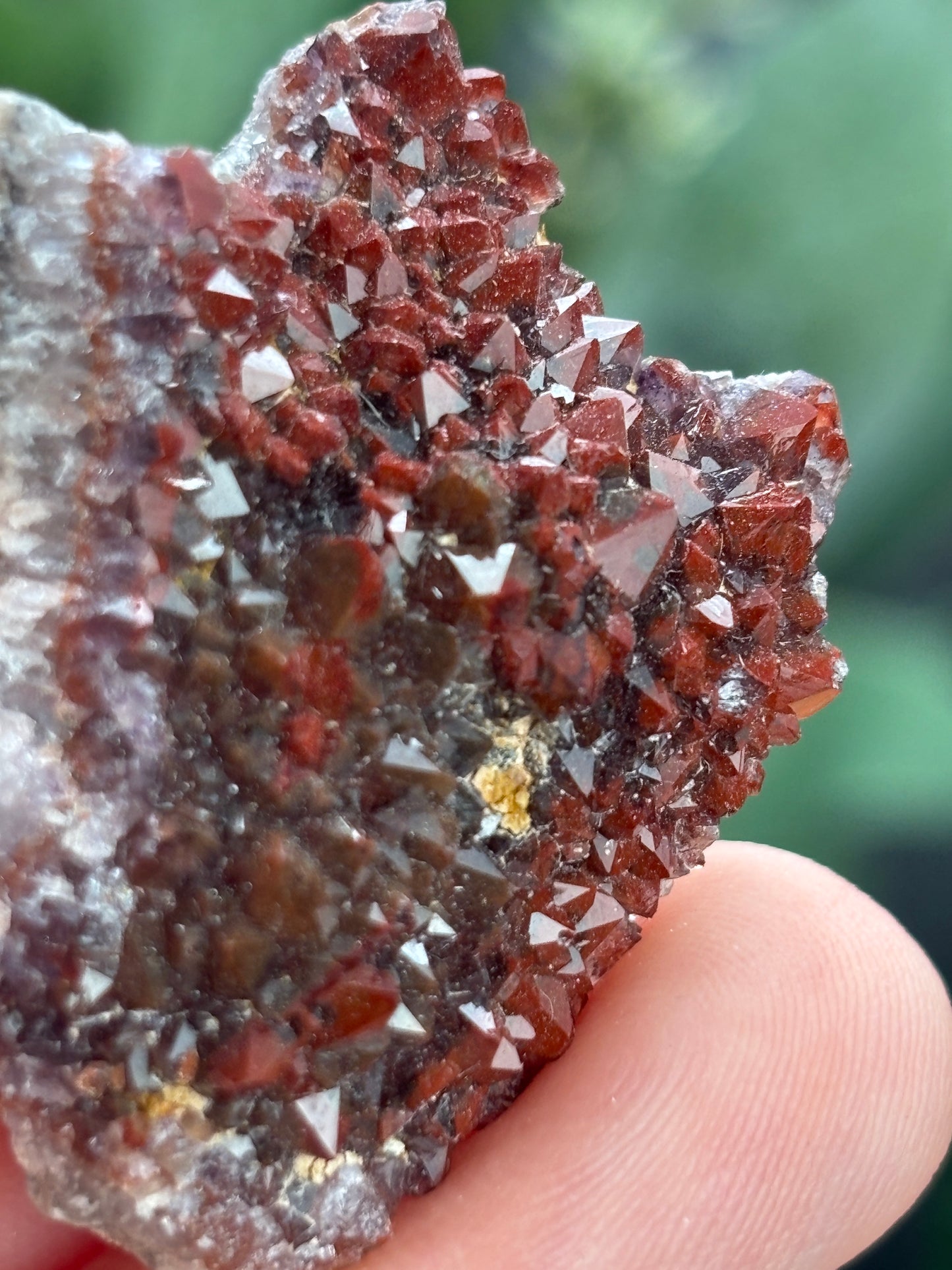 Thunder Bay Red Amethyst Crystal Cluster (C) - The Wandering Fox Emporium, Your Crystal Store