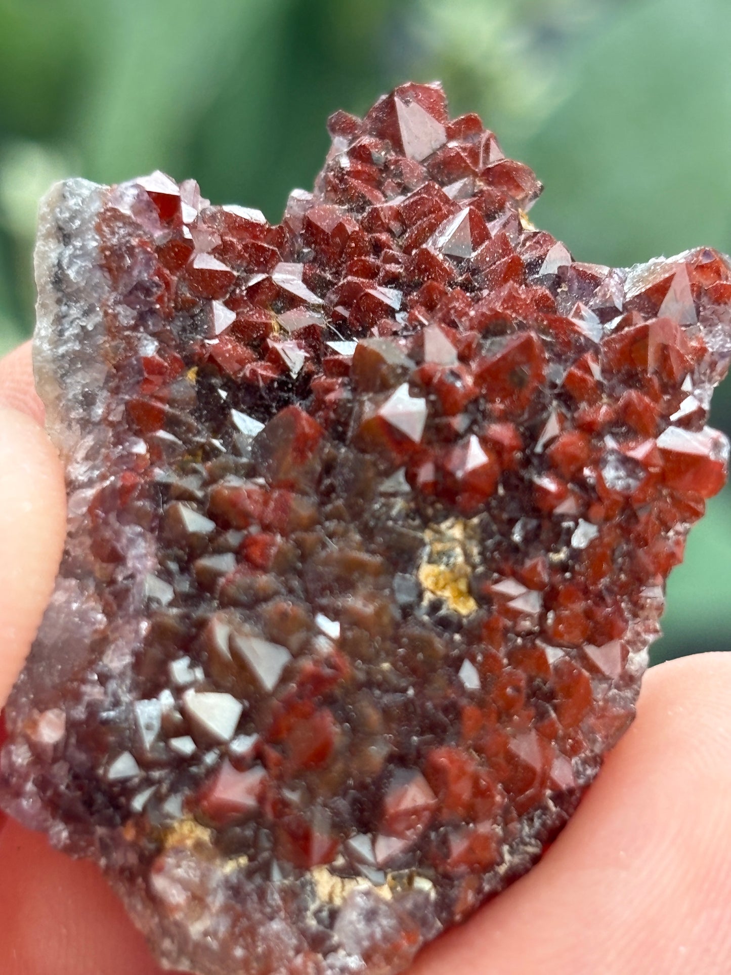 Thunder Bay Red Amethyst Crystal Cluster (C) - The Wandering Fox Emporium, Your Crystal Store