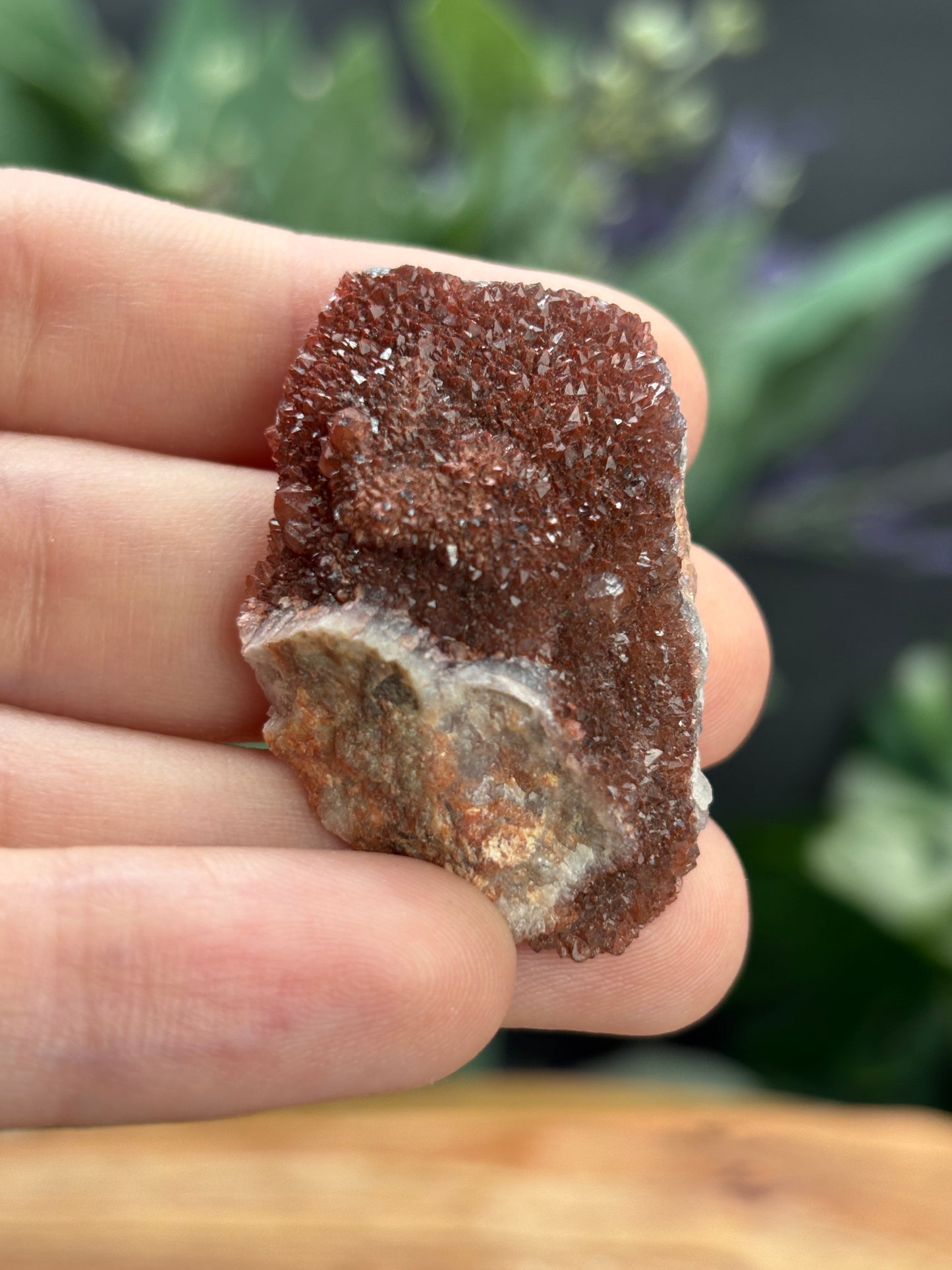 Thunder Bay Red Amethyst Crystal Cluster (G) - The Wandering Fox Emporium, Your Crystal Store