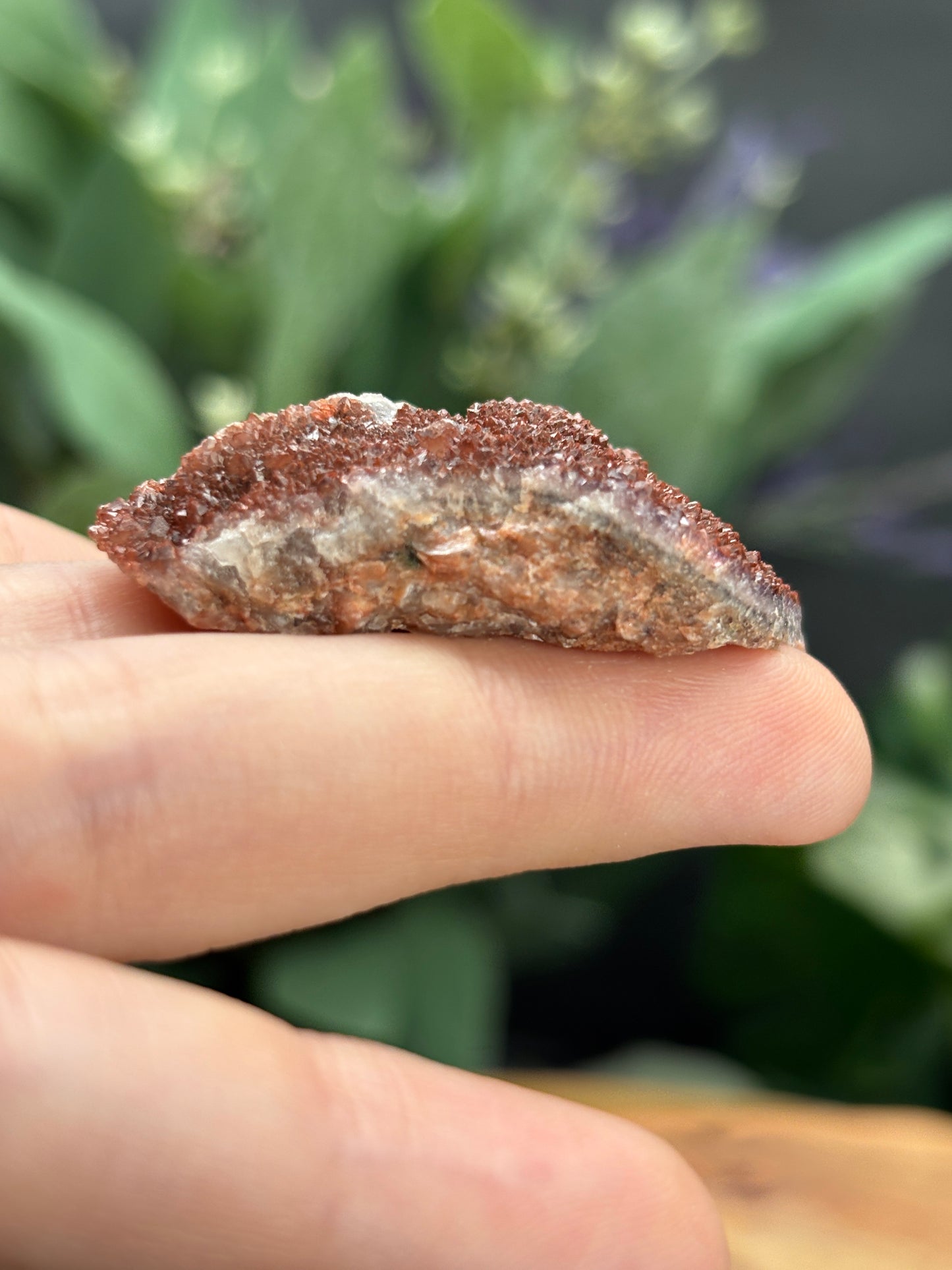 Thunder Bay Red Amethyst Crystal Cluster (G) - The Wandering Fox Emporium, Your Crystal Store