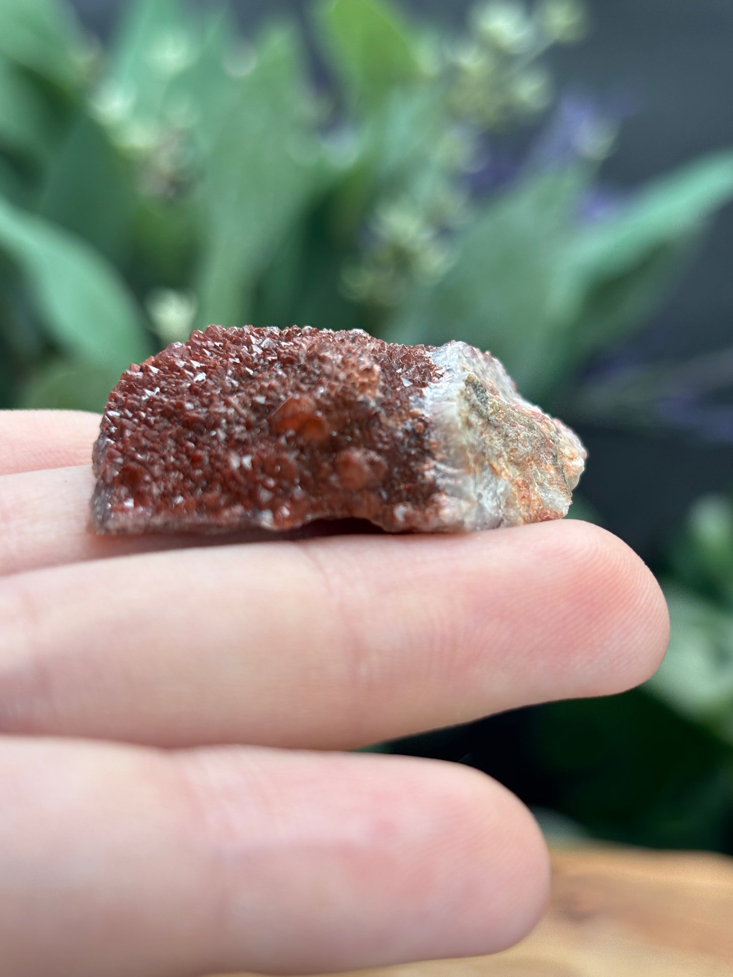 Thunder Bay Red Amethyst Crystal Cluster (G) - The Wandering Fox Emporium, Your Crystal Store