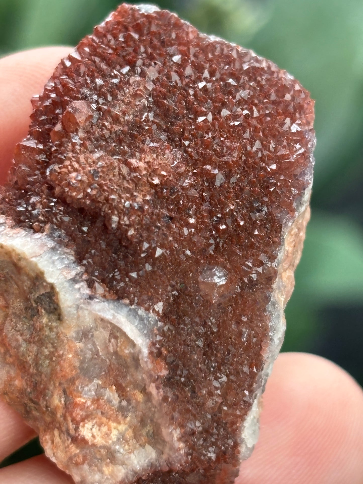 Thunder Bay Red Amethyst Crystal Cluster (G) - The Wandering Fox Emporium, Your Crystal Store