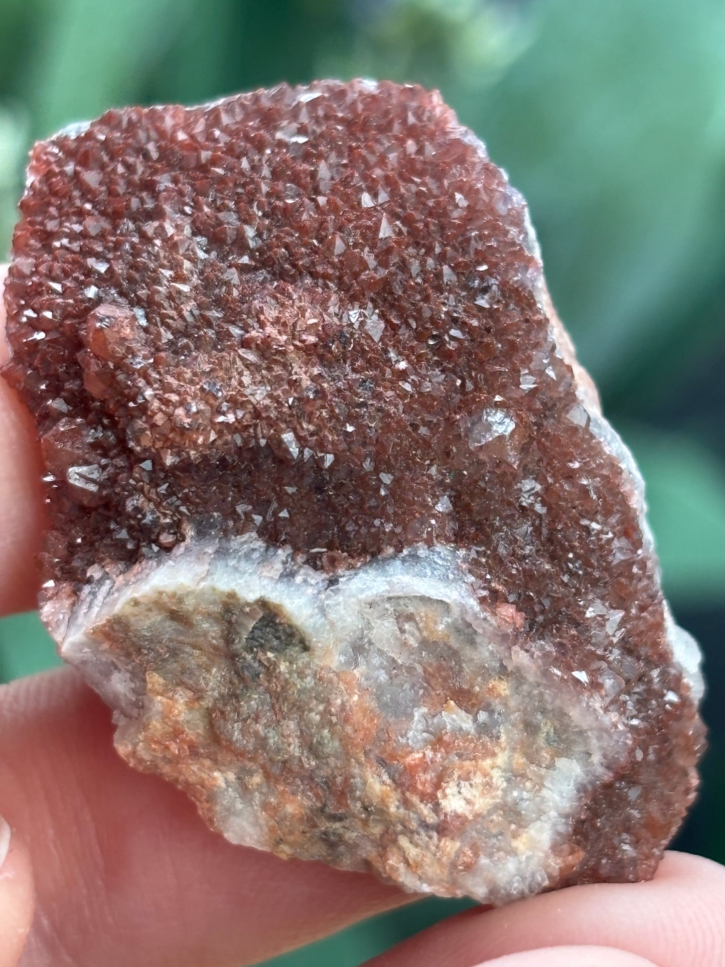 Thunder Bay Red Amethyst Crystal Cluster (G) - The Wandering Fox Emporium, Your Crystal Store