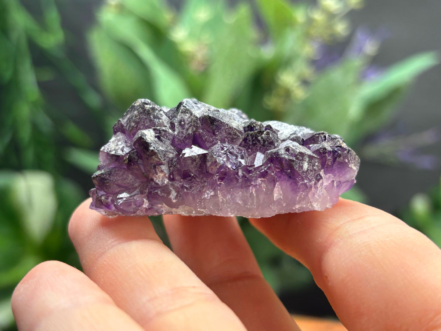 Thunder Bay Amethyst Crystal Cluster (L) - The Wandering Fox Emporium, Your Crystal Store