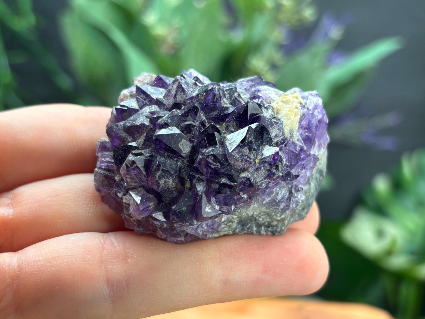 Thunder Bay Amethyst Crystal Cluster (M) - The Wandering Fox Emporium, Your Crystal Store