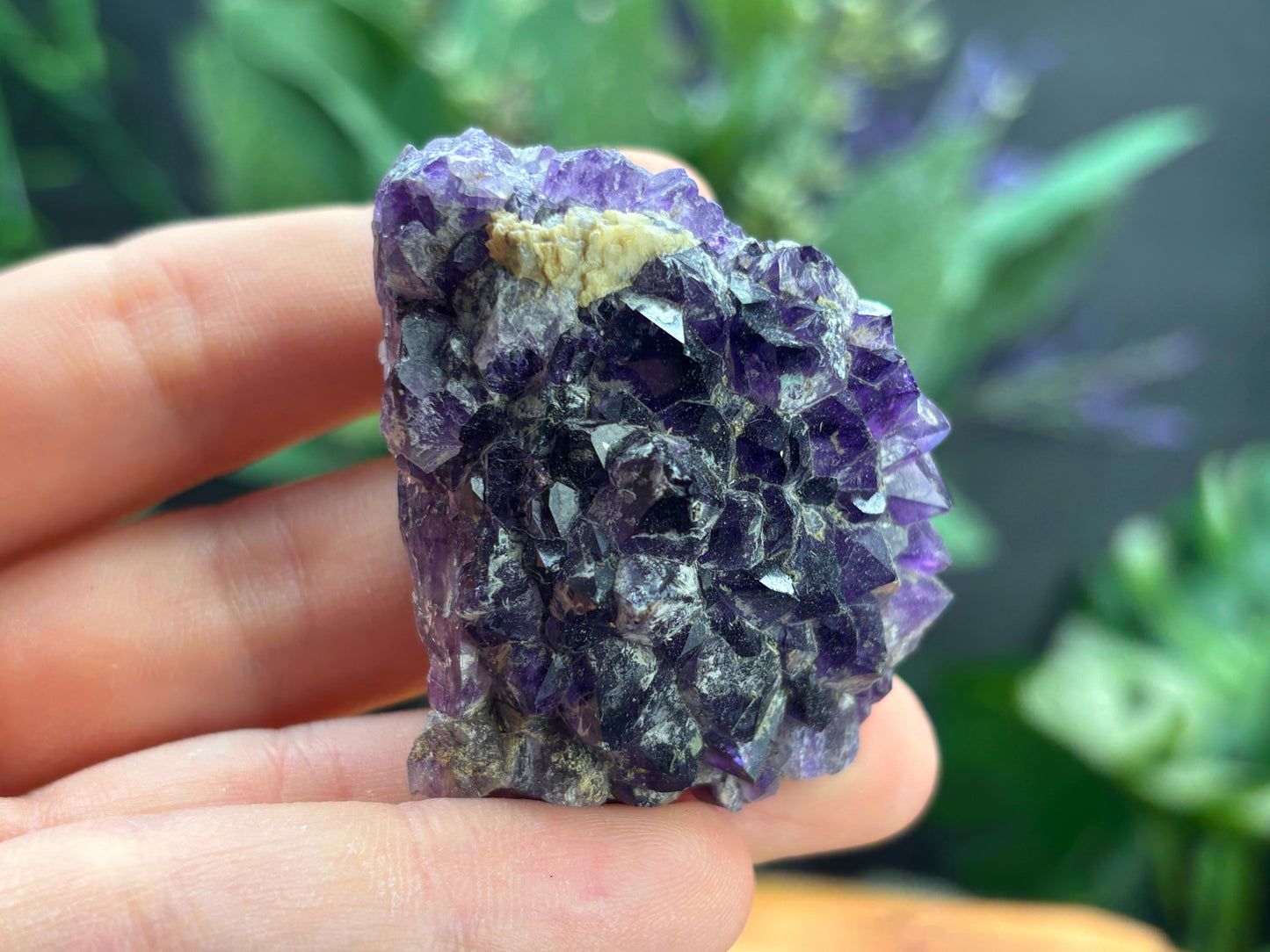 Thunder Bay Amethyst Crystal Cluster (M) - The Wandering Fox Emporium, Your Crystal Store