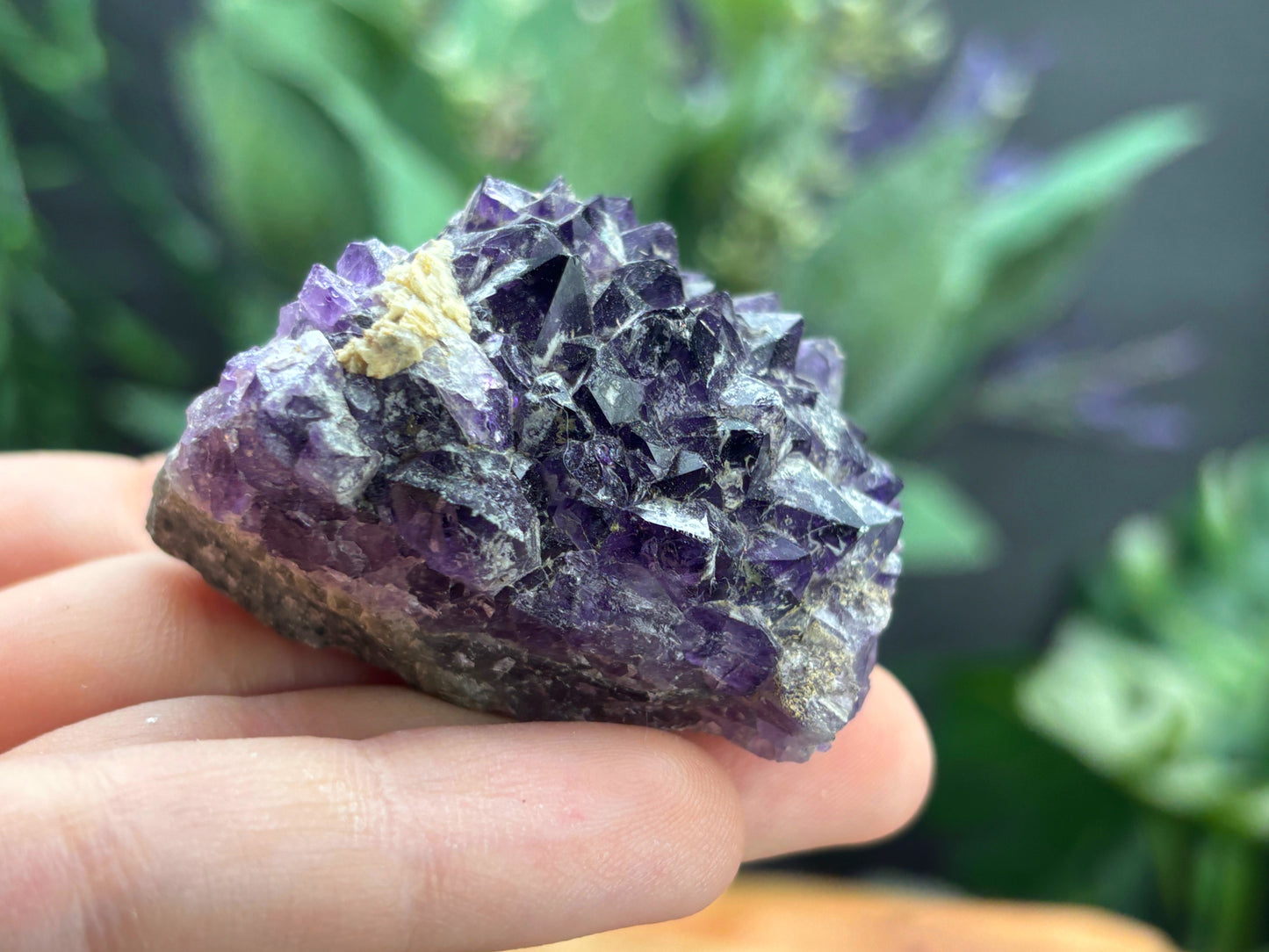 Thunder Bay Amethyst Crystal Cluster (M) - The Wandering Fox Emporium, Your Crystal Store
