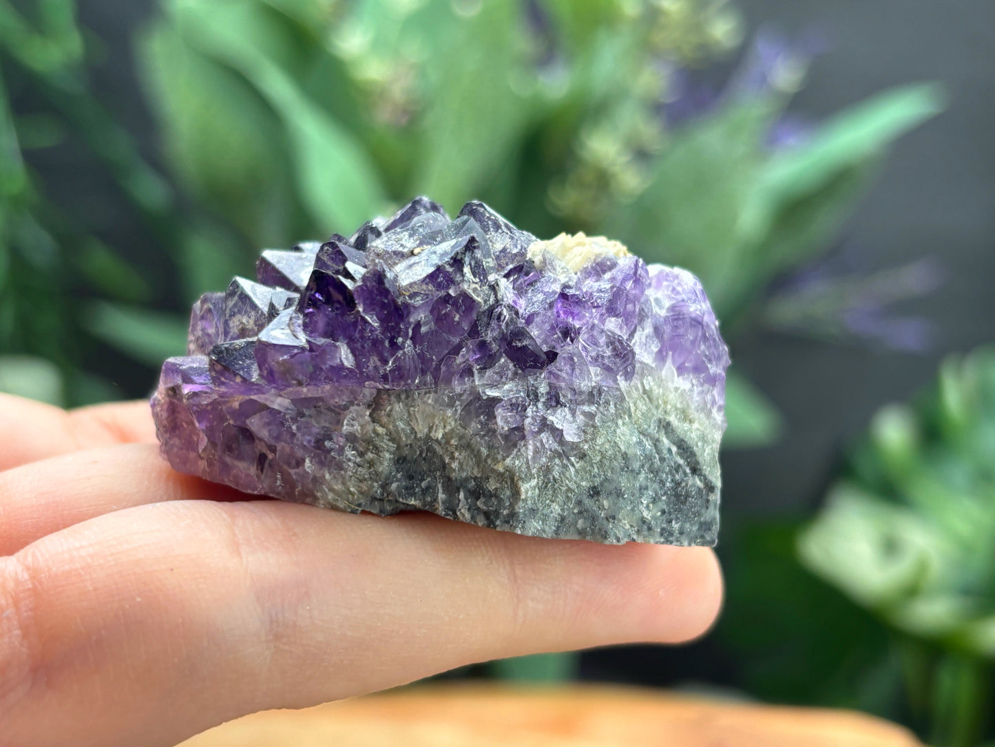 Thunder Bay Amethyst Crystal Cluster (M) - The Wandering Fox Emporium, Your Crystal Store