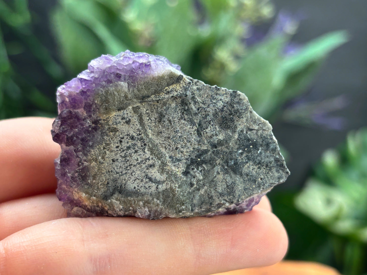 Thunder Bay Amethyst Crystal Cluster (M) - The Wandering Fox Emporium, Your Crystal Store