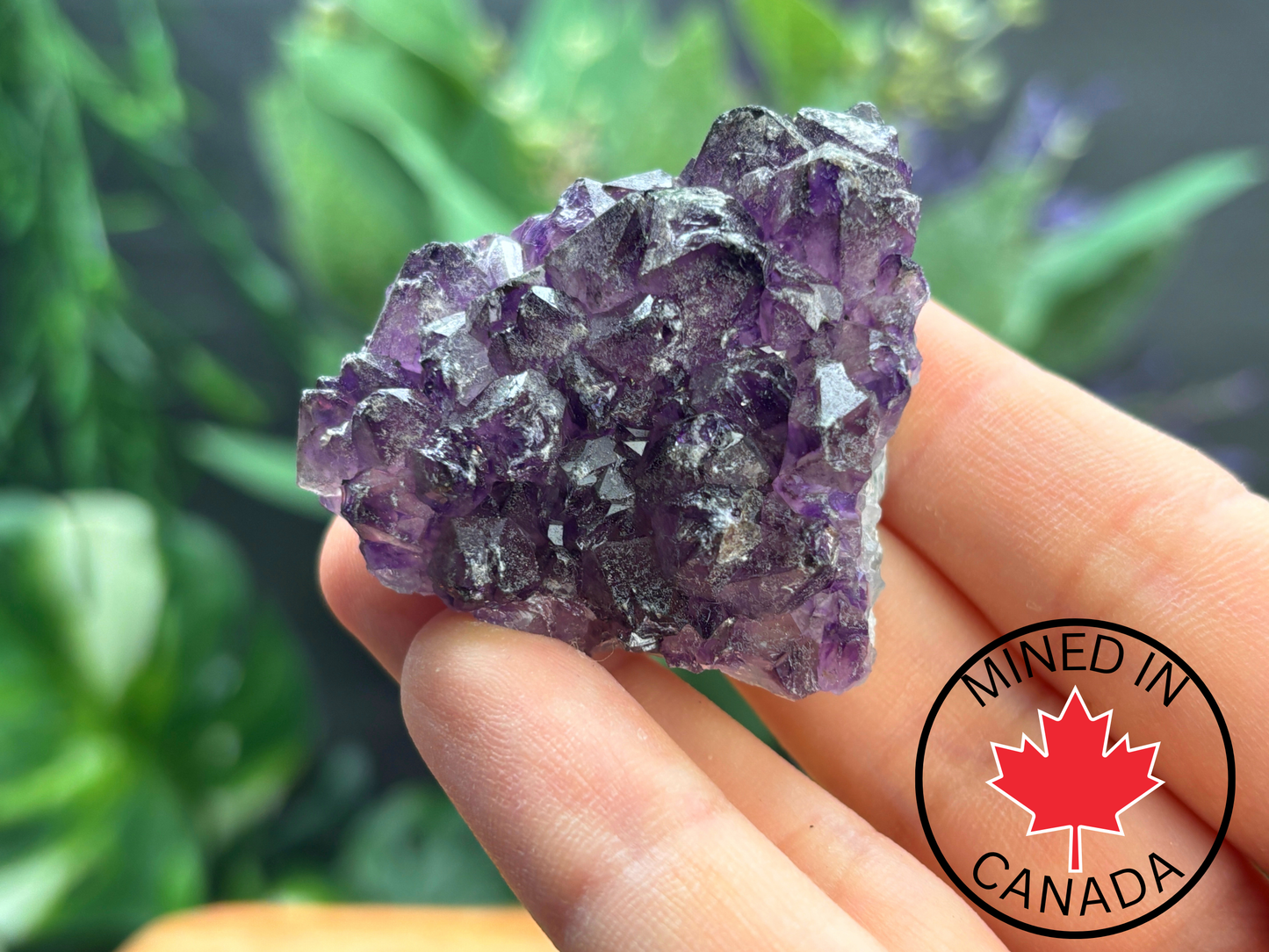Thunder Bay Amethyst Crystal Cluster (L) - The Wandering Fox Emporium, Your Crystal Store