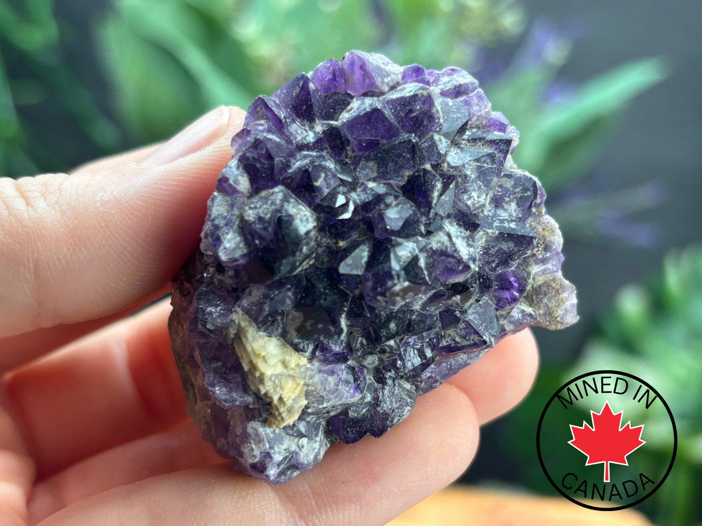 Thunder Bay Amethyst Crystal Cluster (M) - The Wandering Fox Emporium, Your Crystal Store