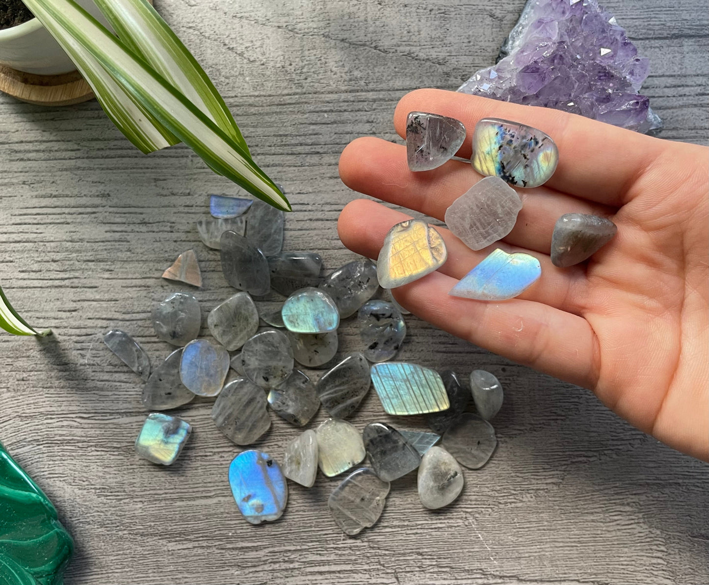 Pictured are various labradorite tumbled stones. Labradorite Crystal Chips top