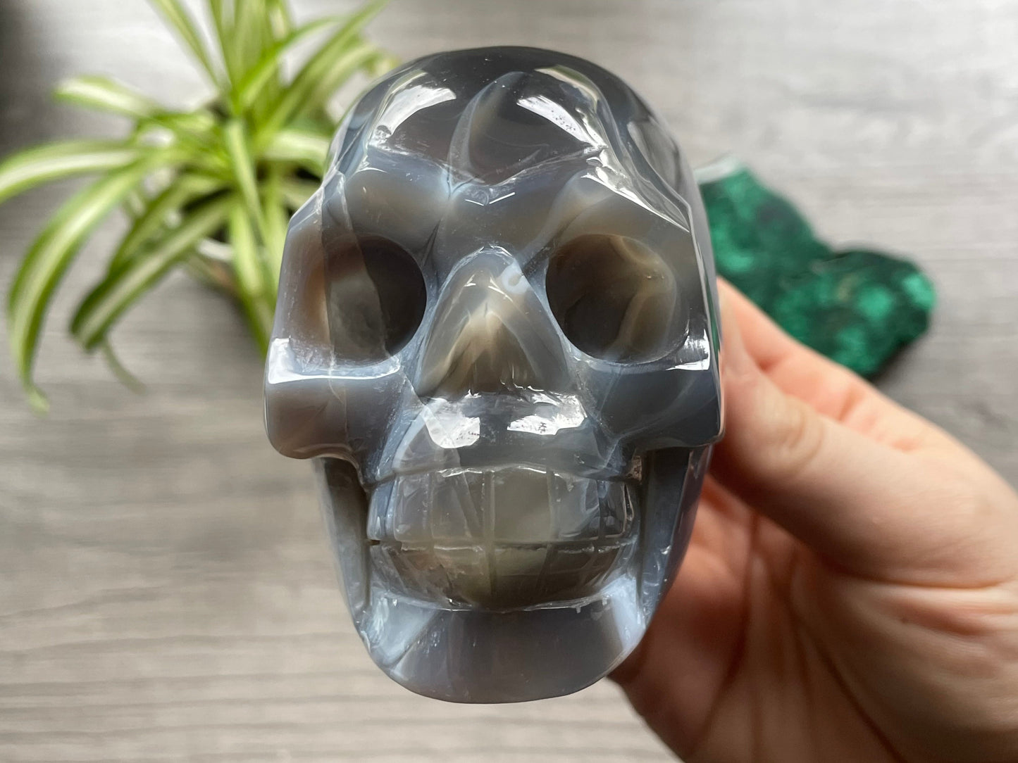 Natural Agate Crystal Skull (.55kg) - The Wandering Fox Emporium, Your Metaphysical Store front