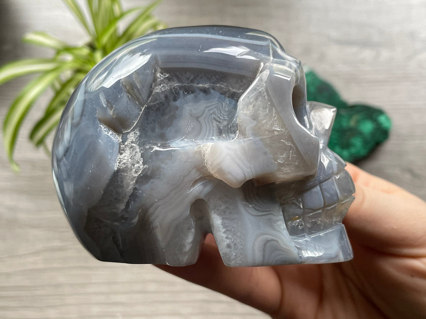 Natural Agate Crystal Skull (.55kg) - The Wandering Fox Emporium, Your Metaphysical Store side