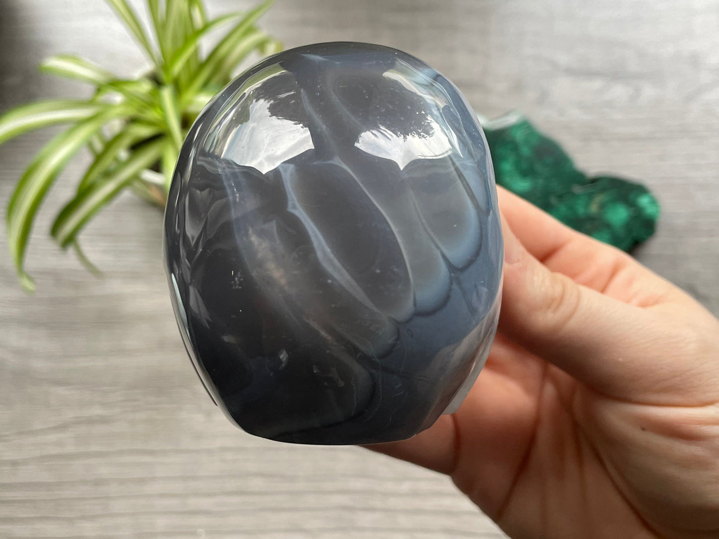 Natural Agate Crystal Skull (.55kg) - The Wandering Fox Emporium, Your Metaphysical Store back