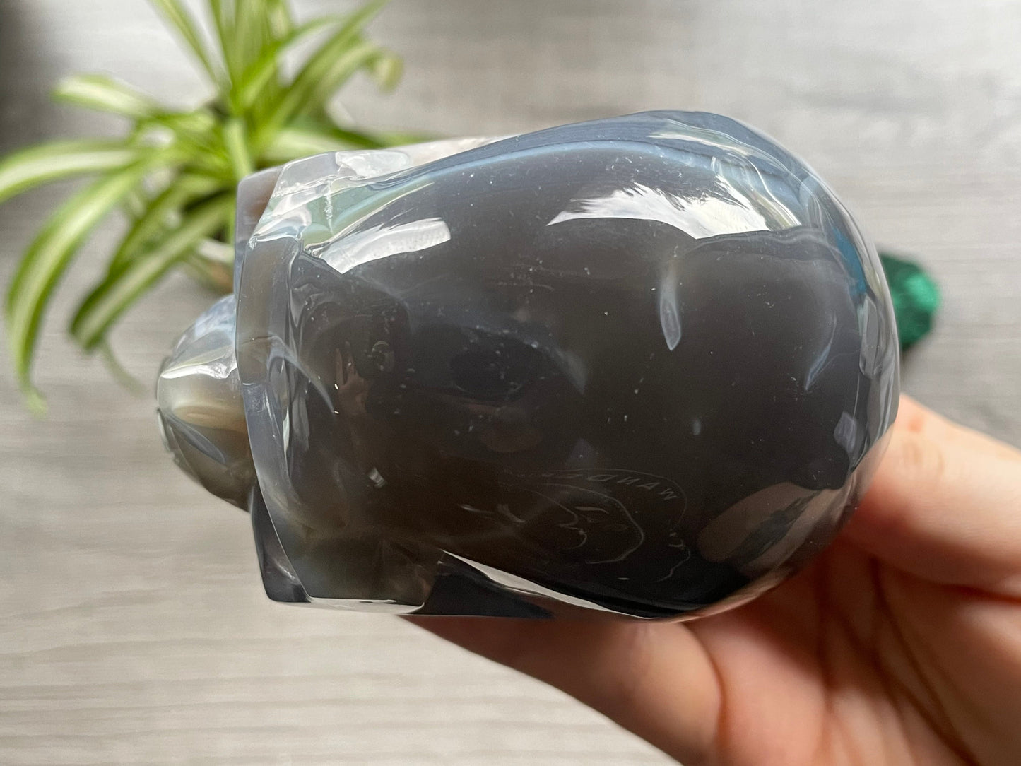 Natural Agate Crystal Skull (.55kg) - The Wandering Fox Emporium, Your Metaphysical Store top