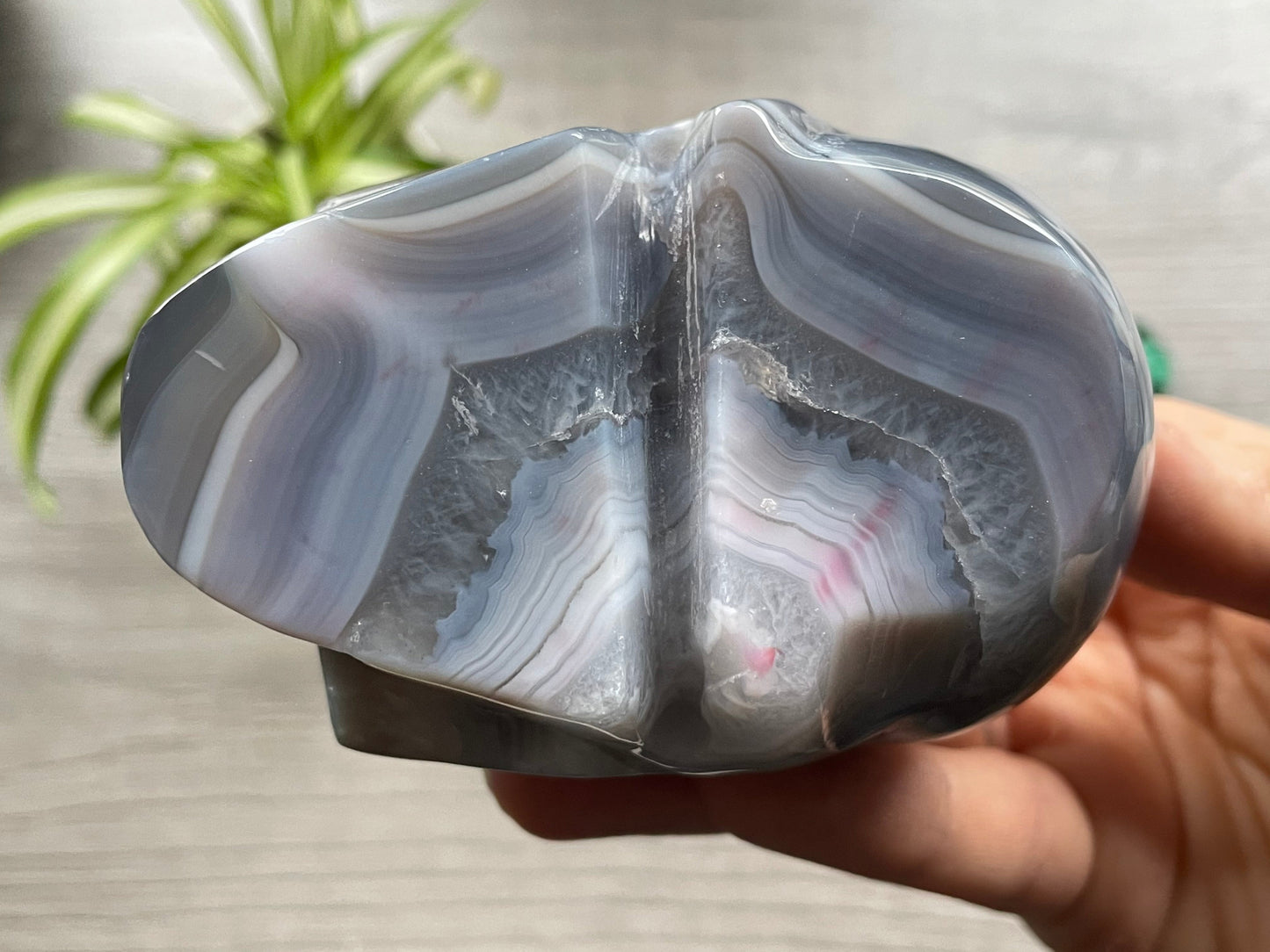 Natural Agate Crystal Skull (.55kg) - The Wandering Fox Emporium, Your Metaphysical Store bottom