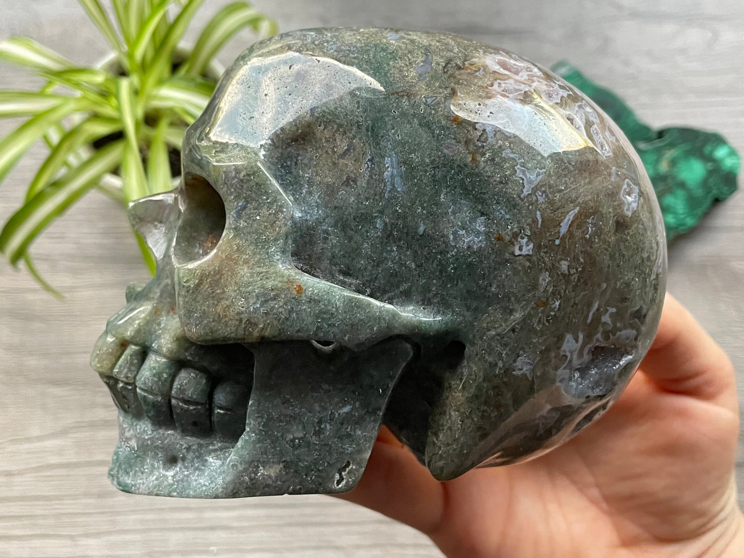 Moss Agate Crystal Skull (1.15kg) - The Wandering Fox Emporium, Your Metaphysical Store side