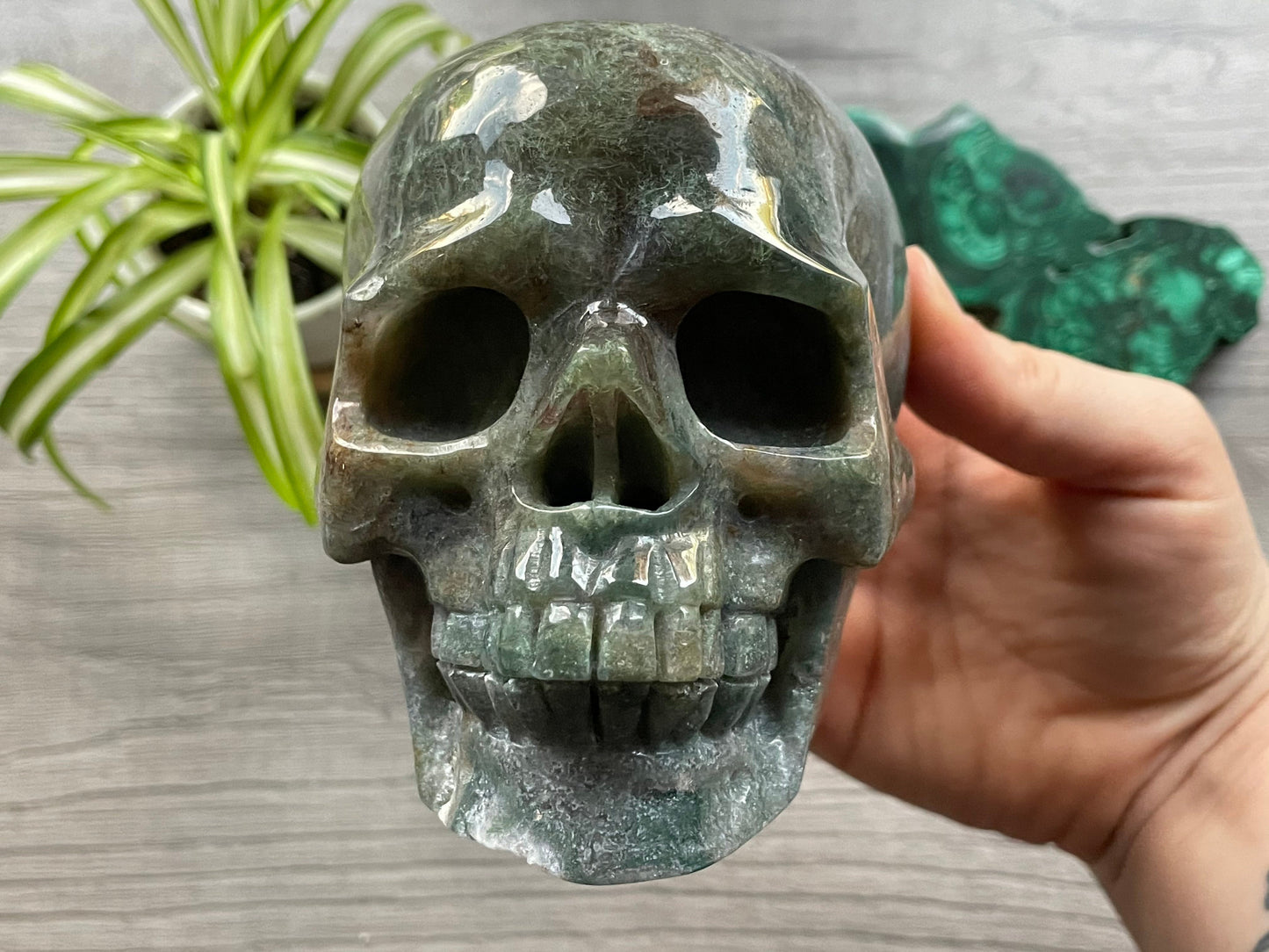 Moss Agate Crystal Skull (1.15kg) - The Wandering Fox Emporium, Your Metaphysical Store front