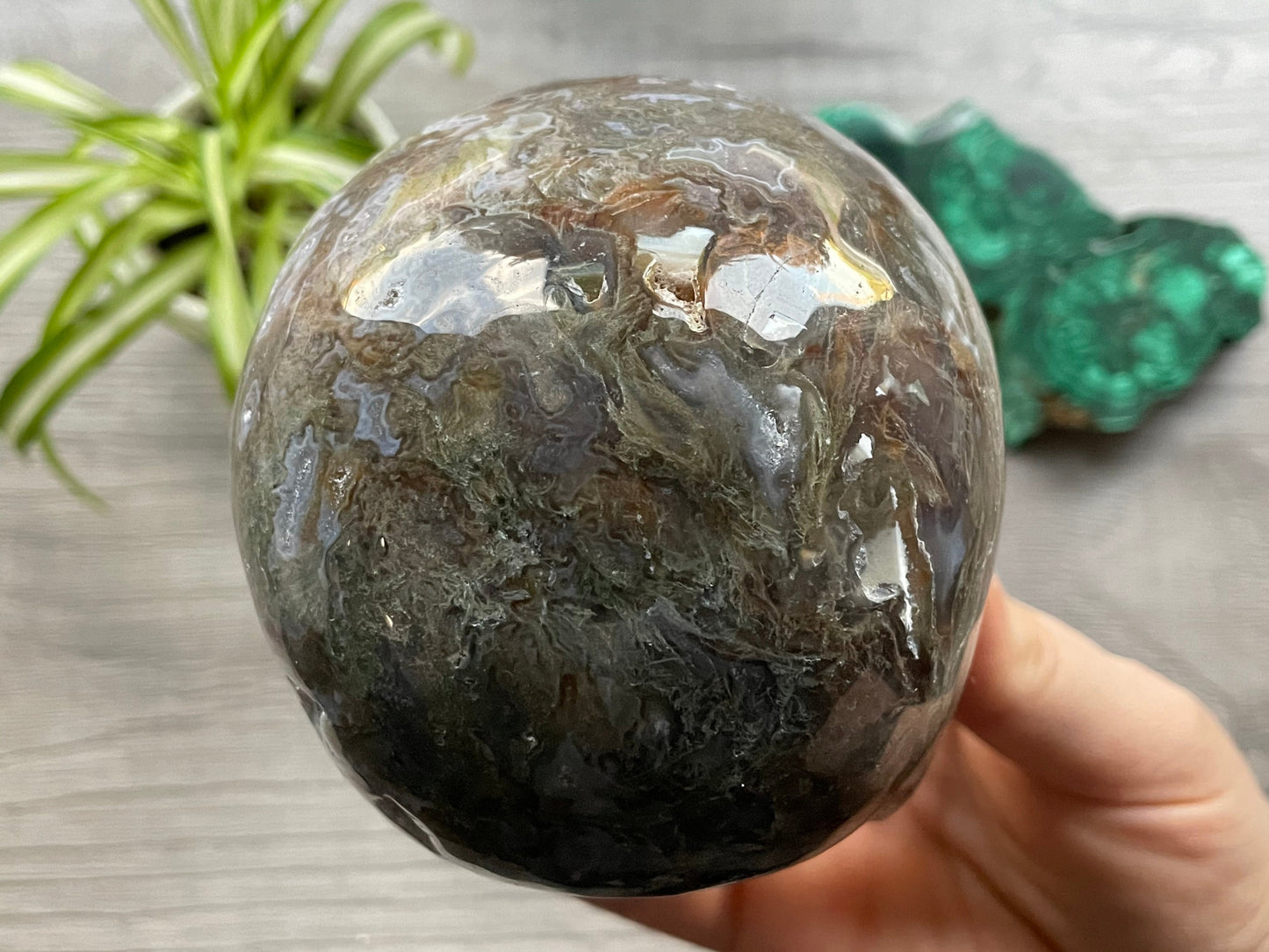 Moss Agate Crystal Skull (1.15kg) - The Wandering Fox Emporium, Your Metaphysical Store back