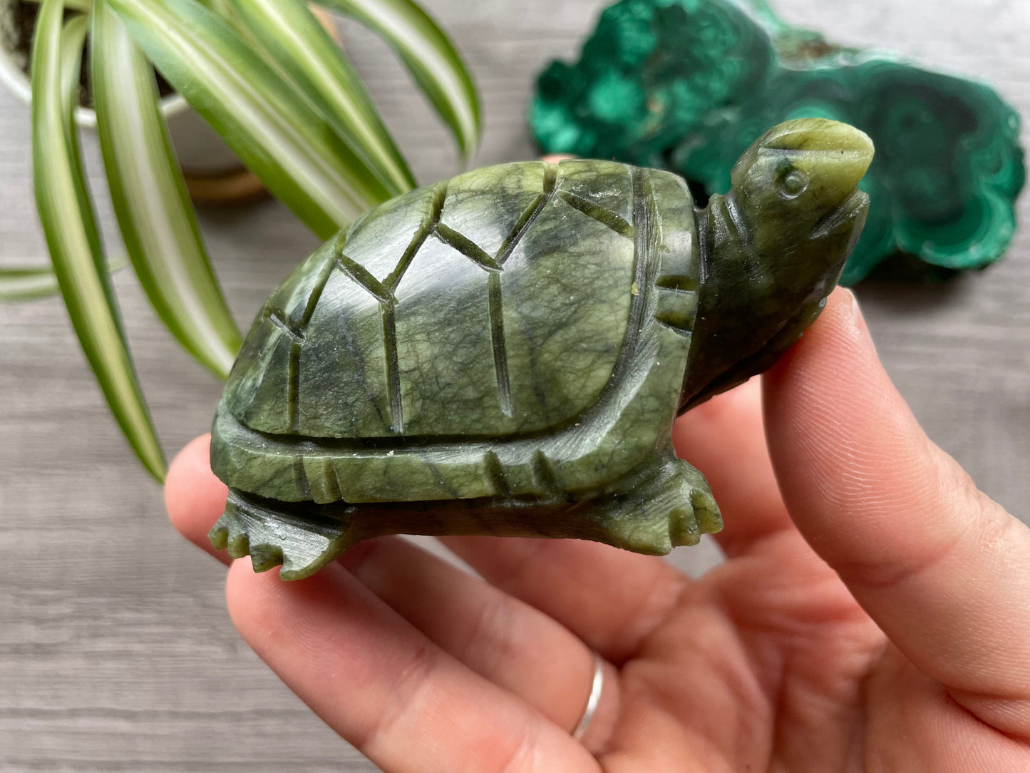 Xiuyan "Jade" Turtle (A) Crystal Carving