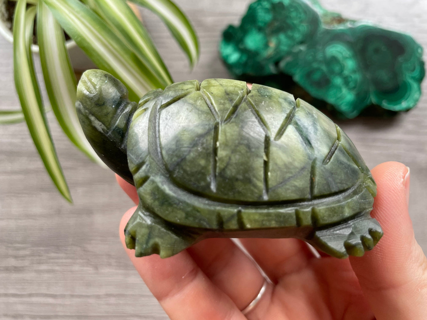 Xiuyan "Jade" Turtle (A) Crystal Carving side