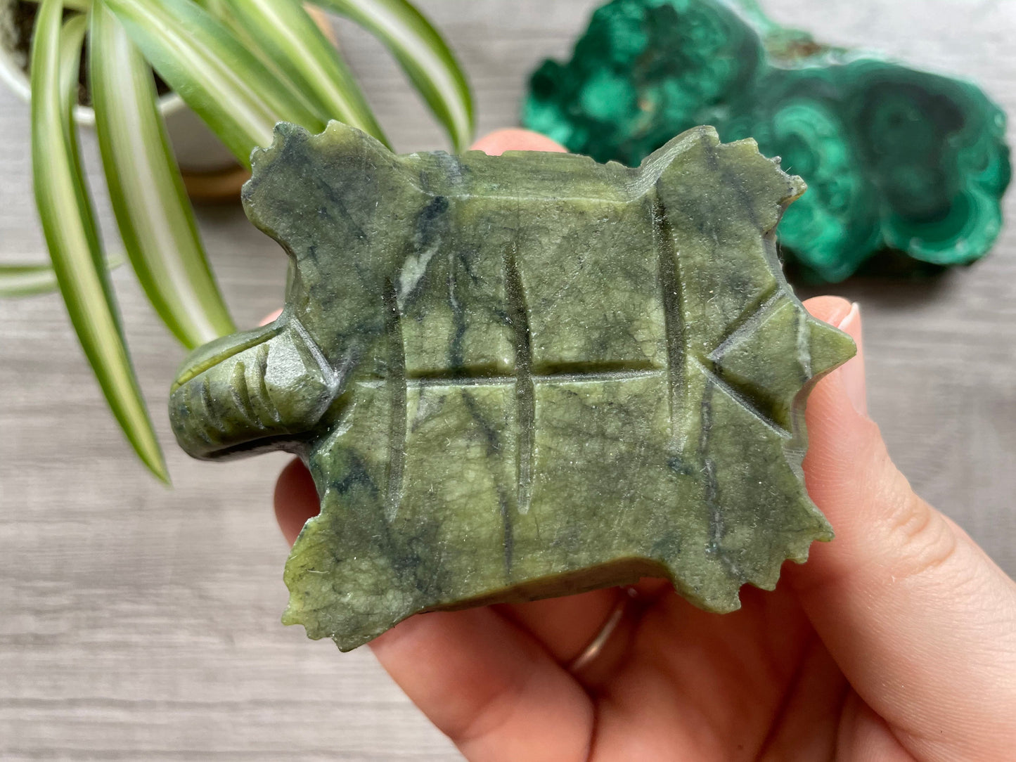 Xiuyan "Jade" Turtle (A) Crystal Carving bottom
