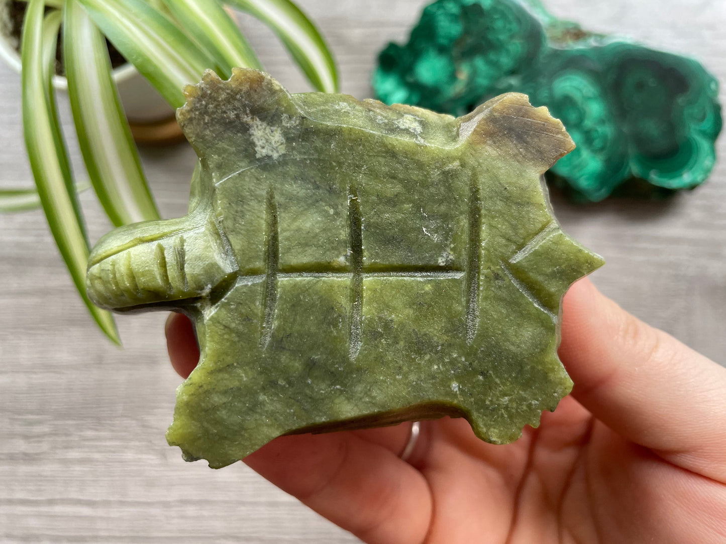 Xiuyan "Jade" Turtle (B) Crystal Carving bottom