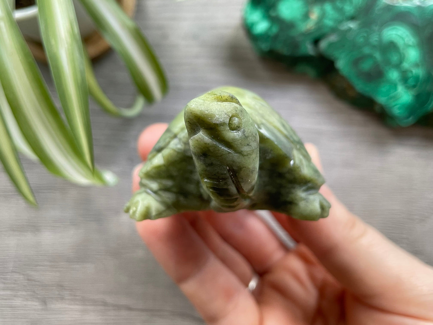 Xiuyan "Jade" Turtle (C) Crystal Carving front