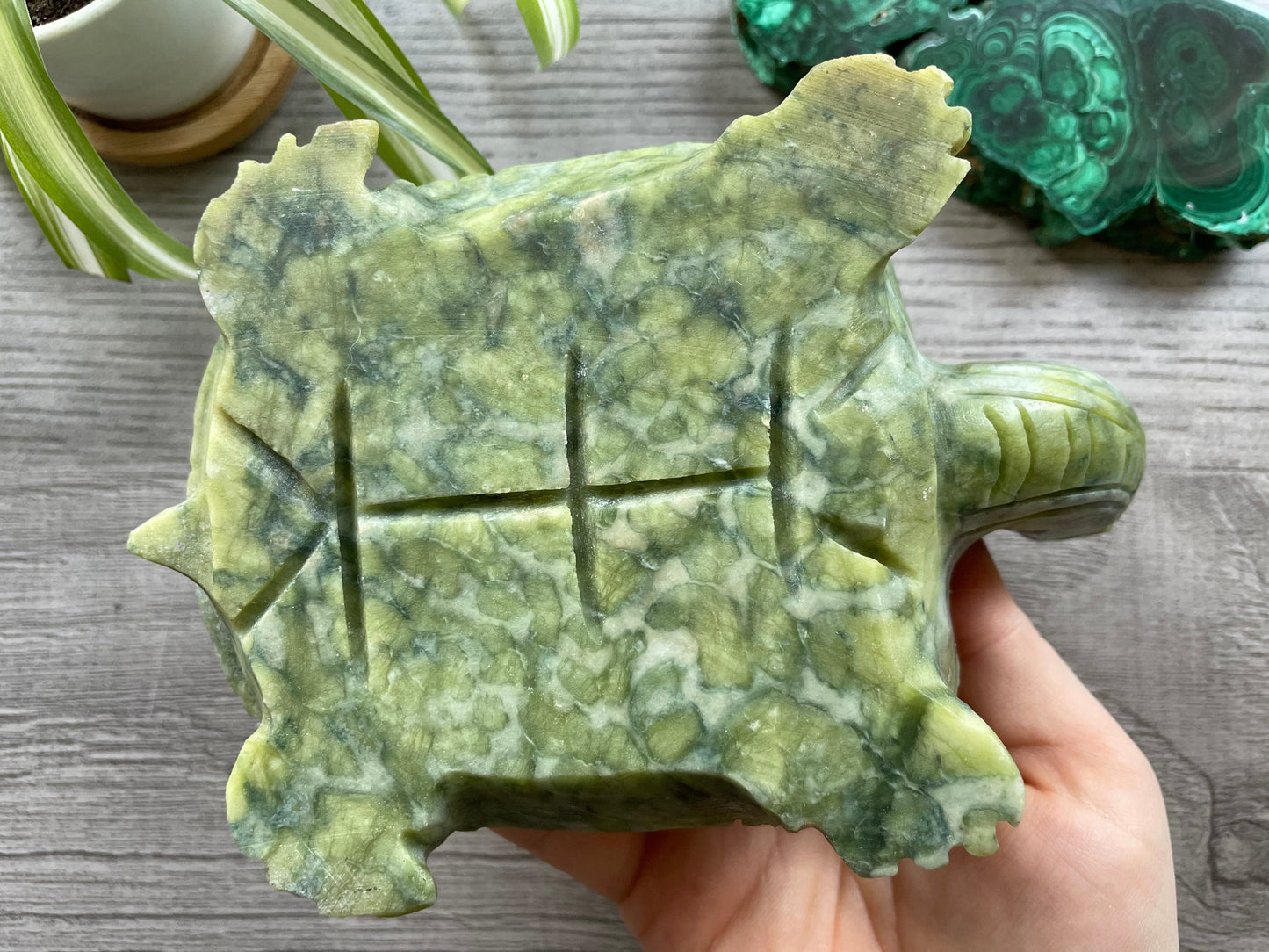 Xiuyan "Jade" Turtle 1.6kg Crystal Carving bottom