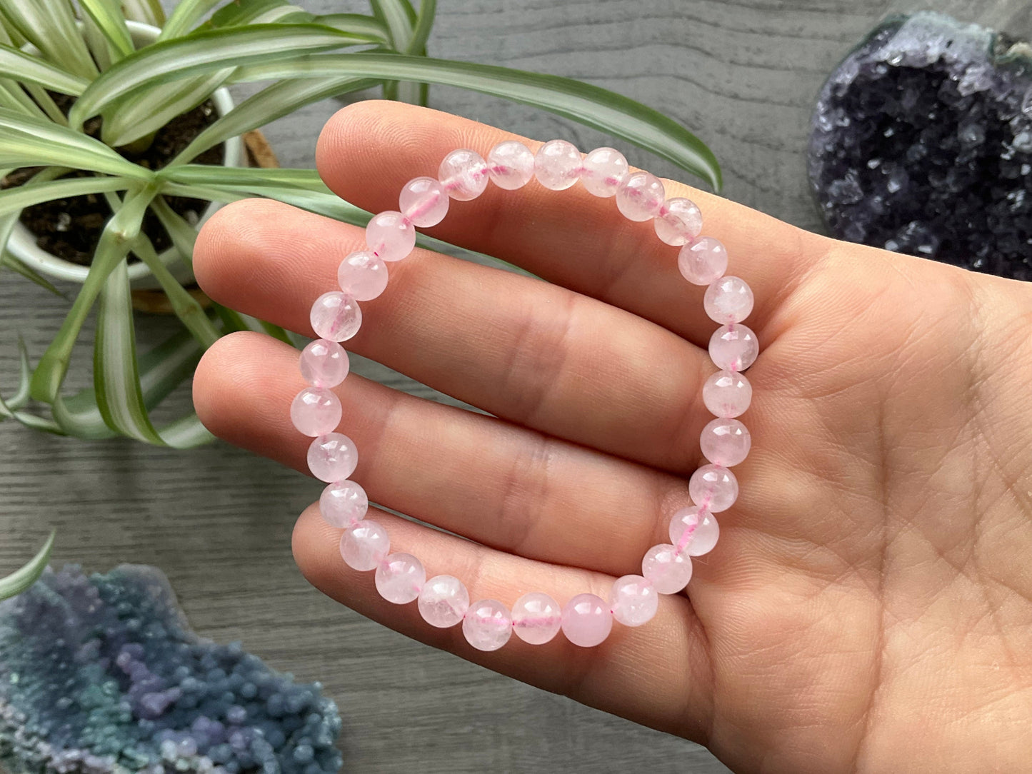 Rose Quartz Bracelet 6mm - The Wandering Fox Emporium, Your Crystal Store