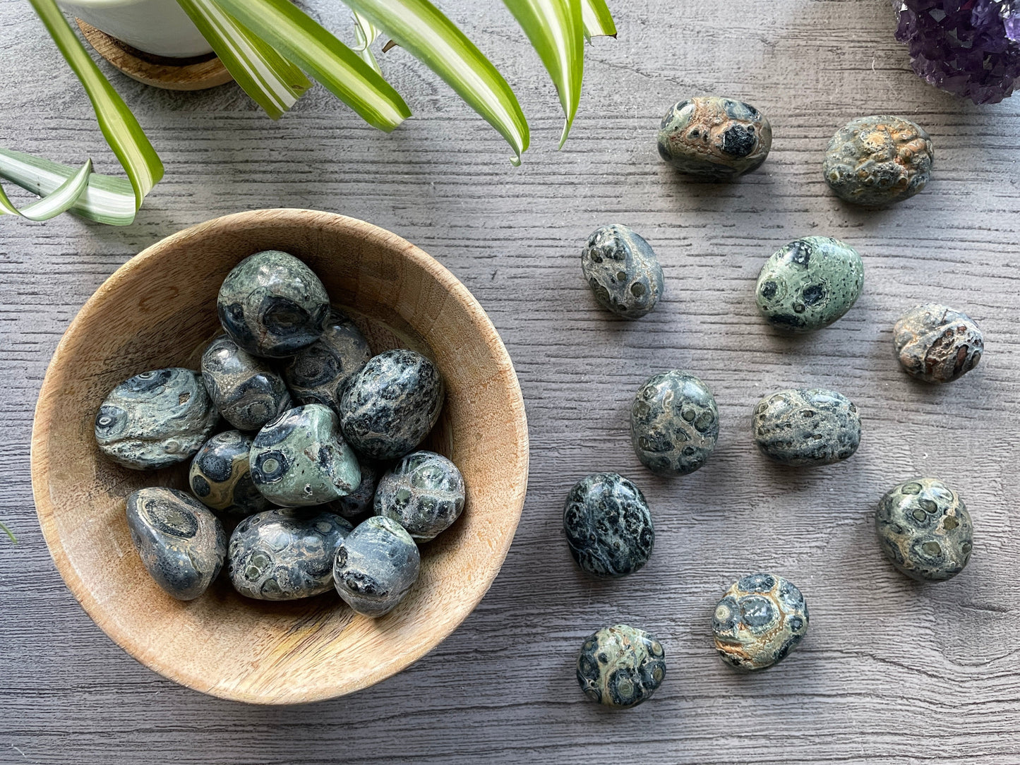 Kambaba Jasper Tumbled Stone